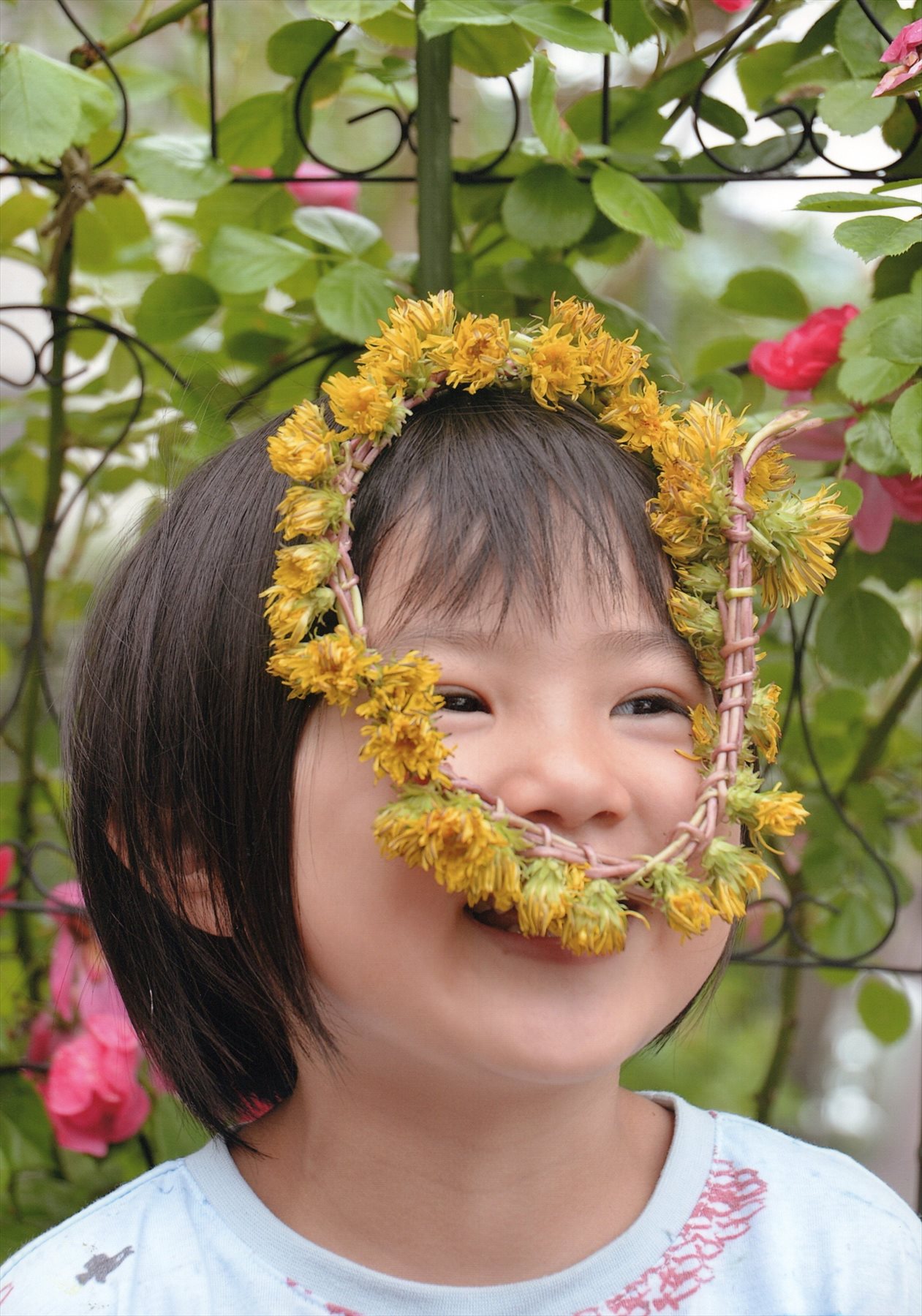 入賞写真