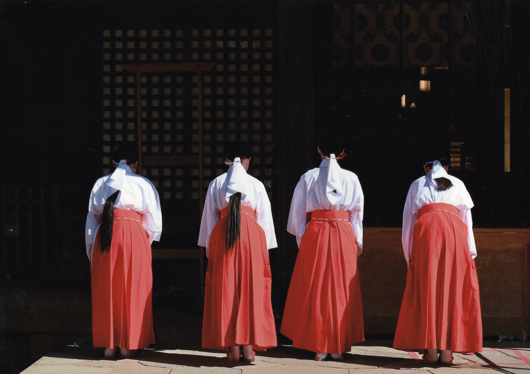 入賞写真