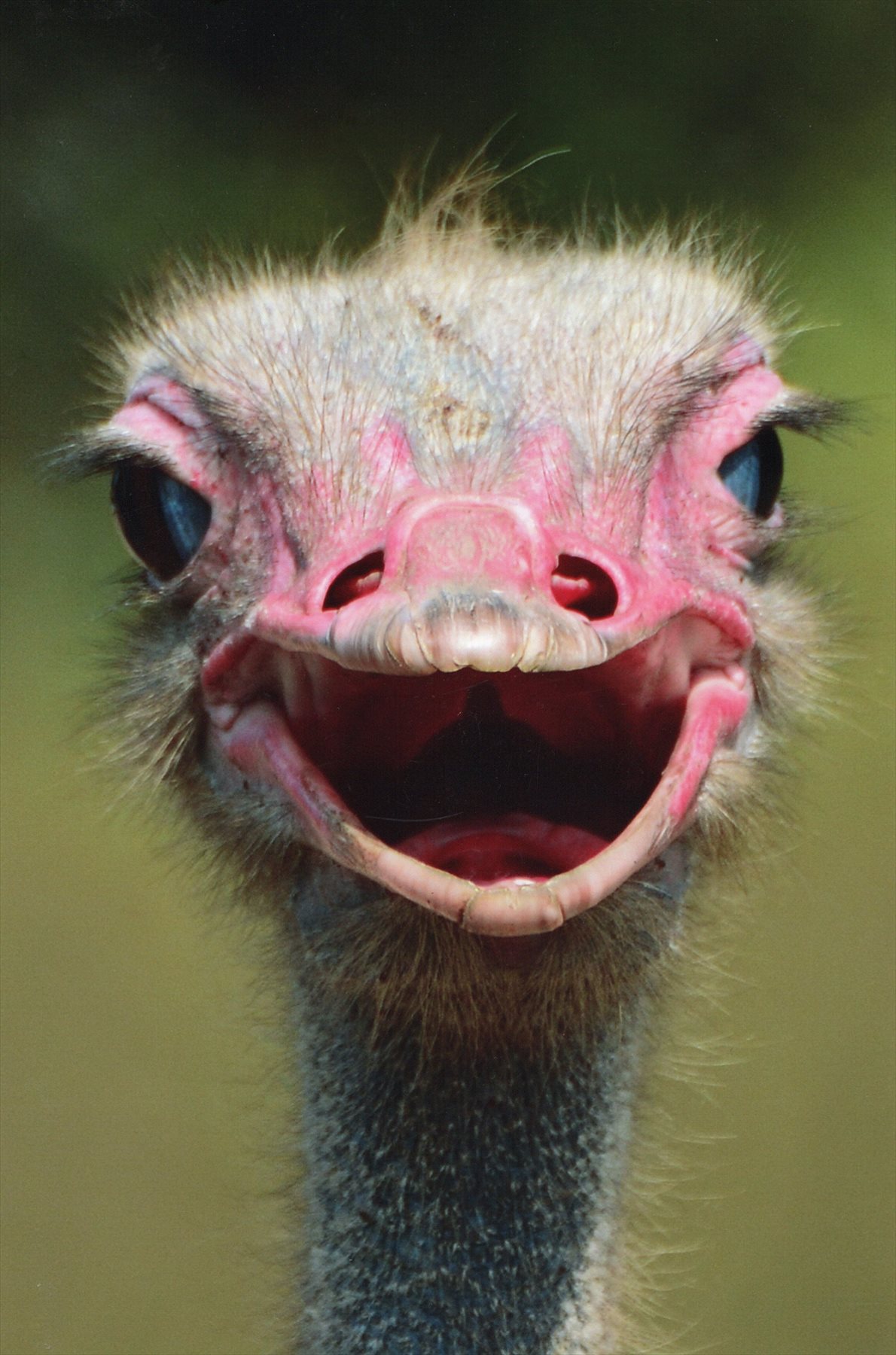 入賞写真