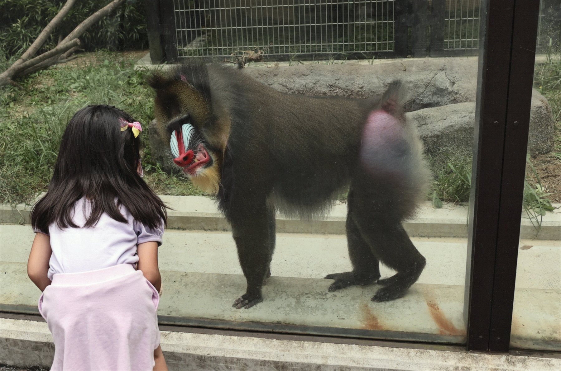 入賞写真