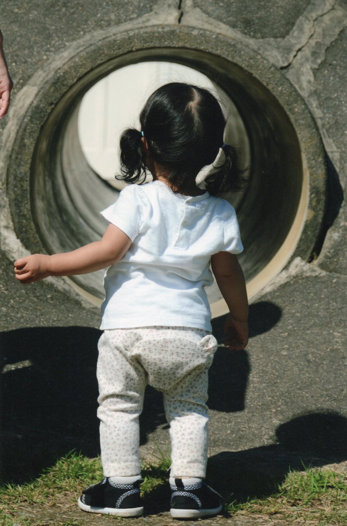 入賞写真