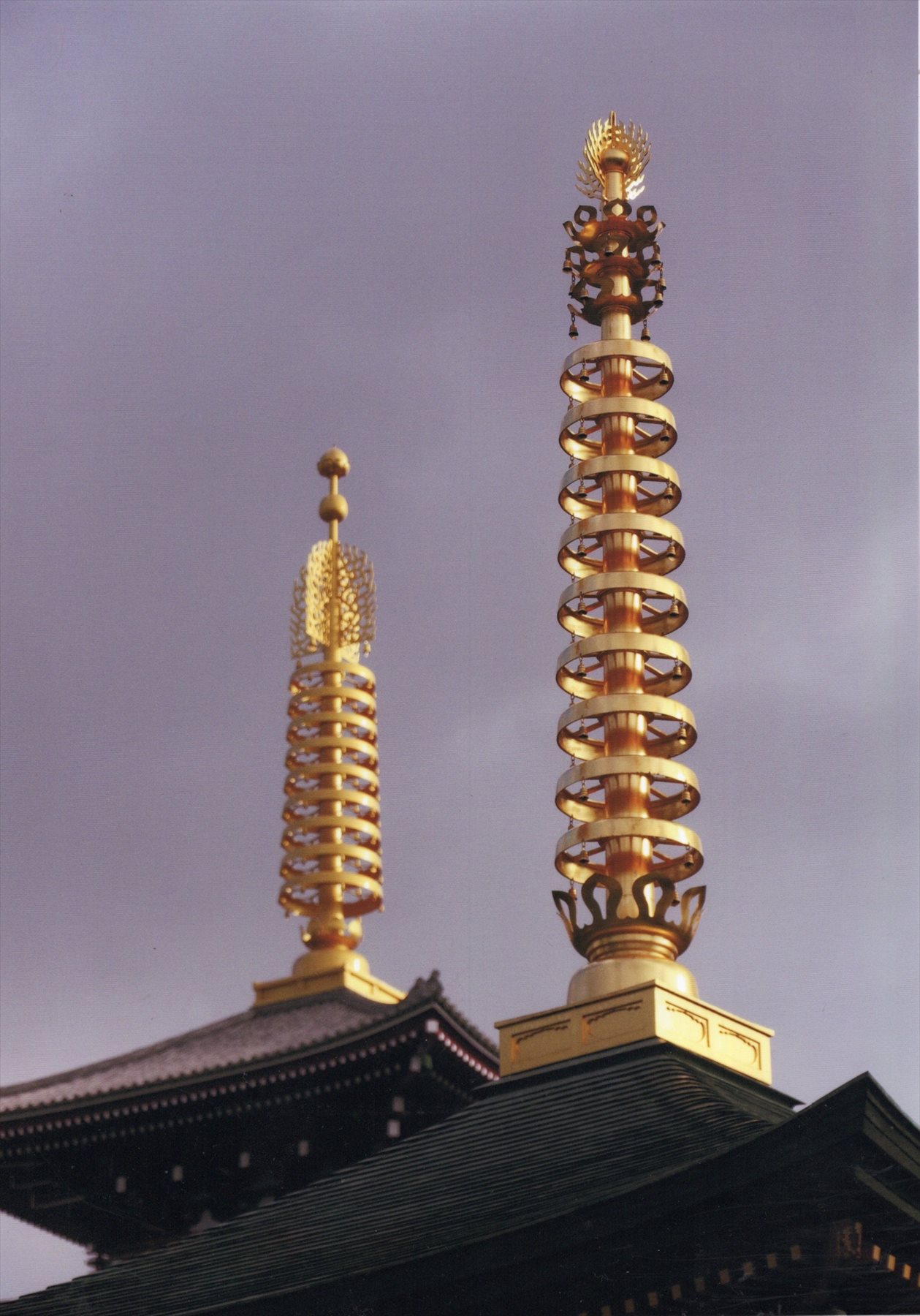 入賞写真