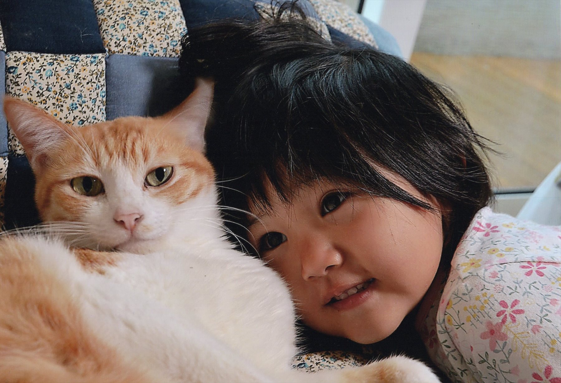 入賞写真