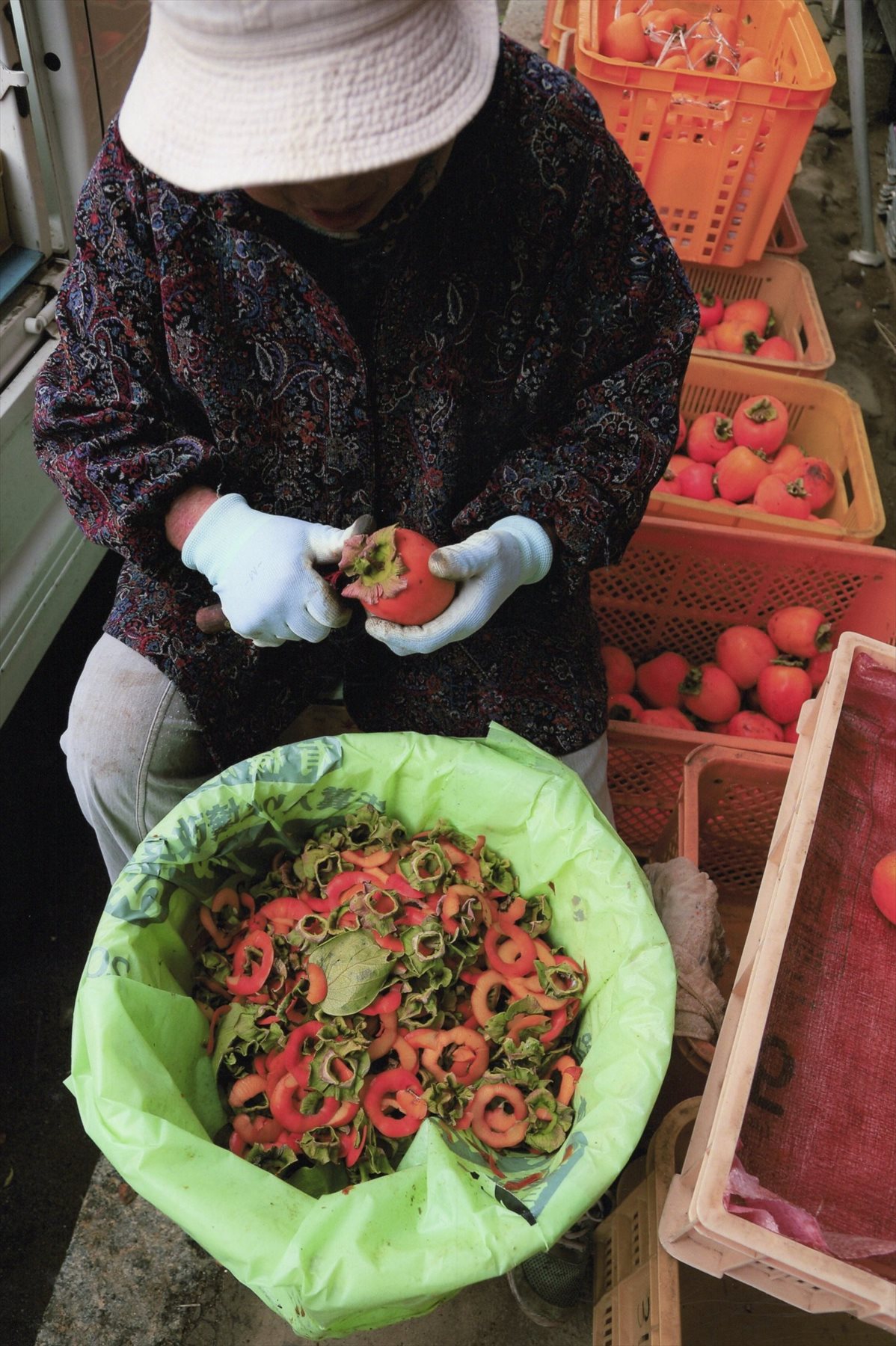 入賞写真