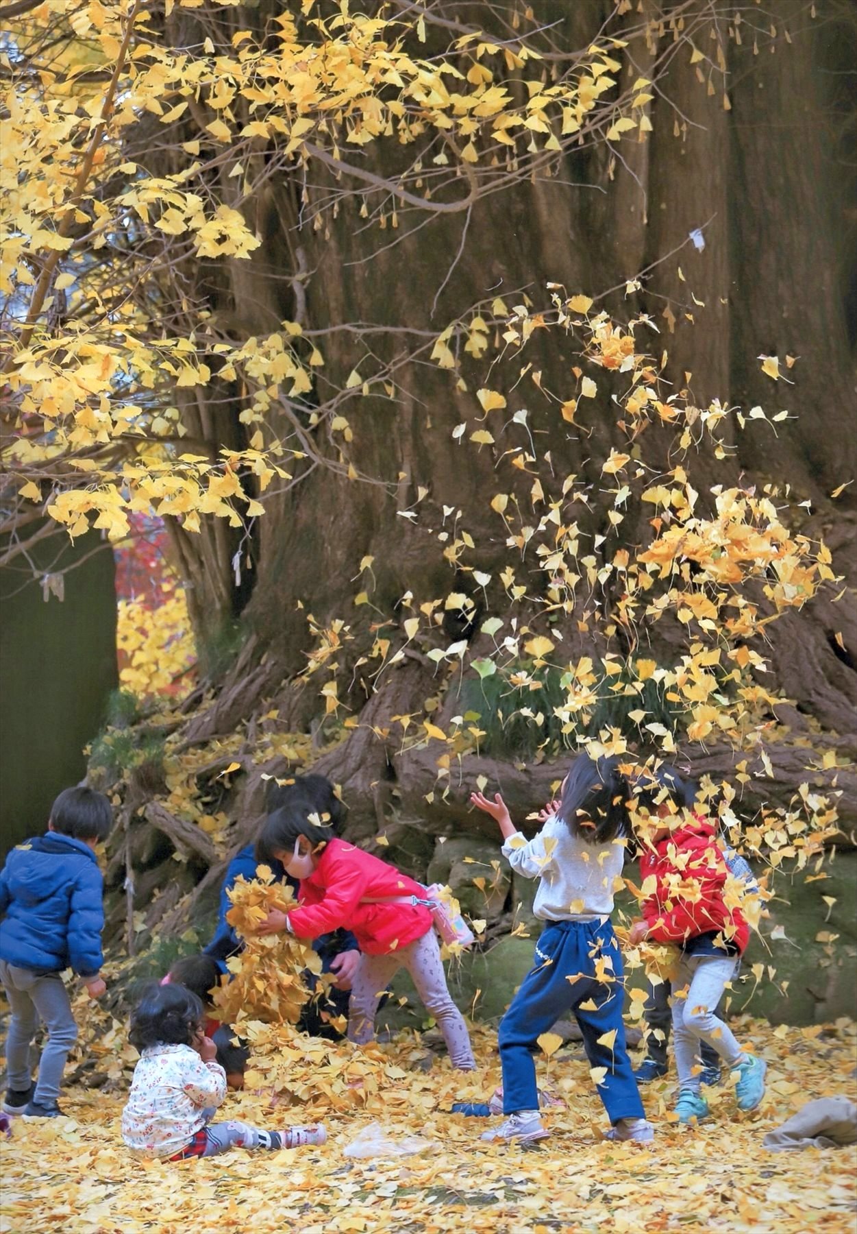 入賞写真