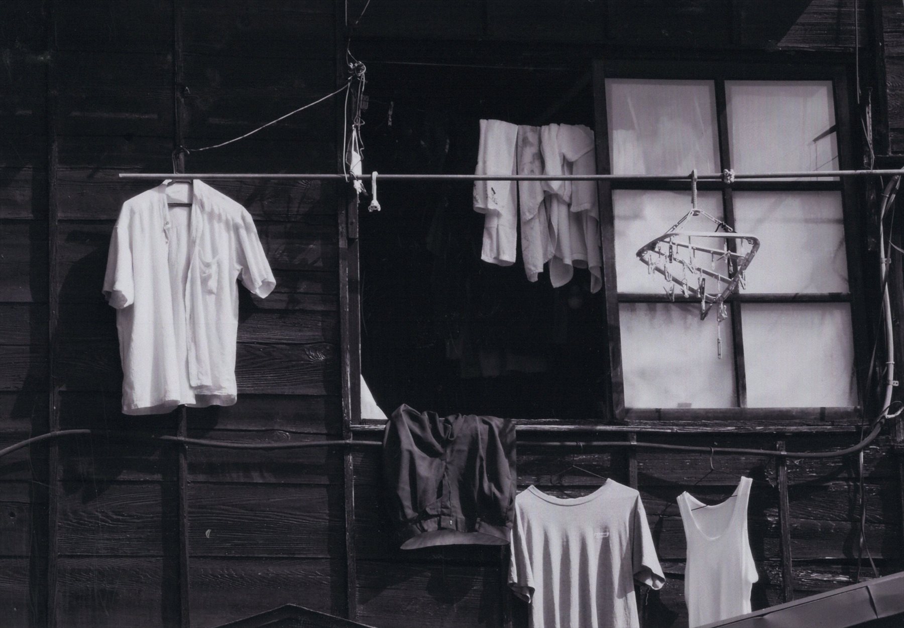 入賞写真