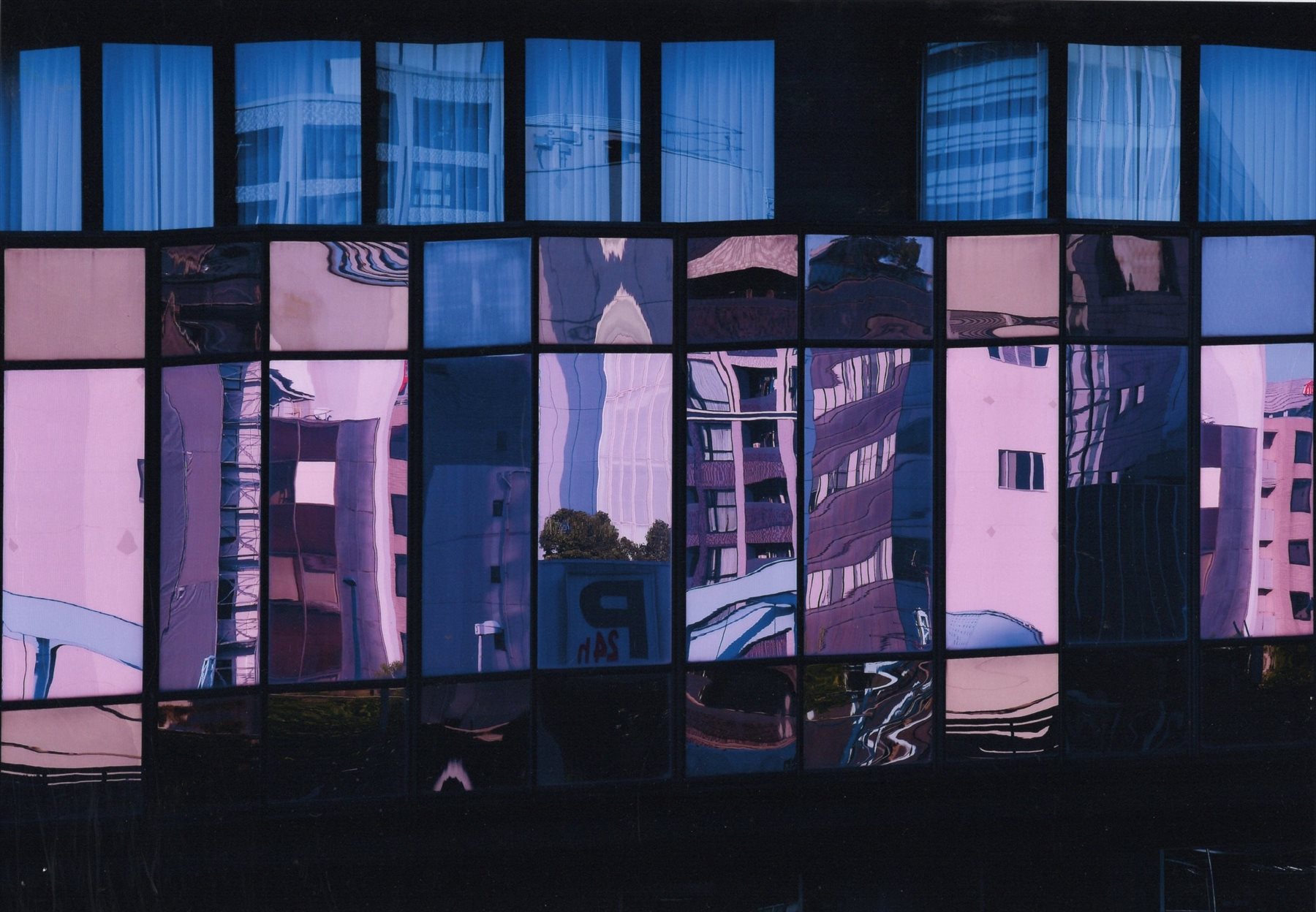 入賞写真