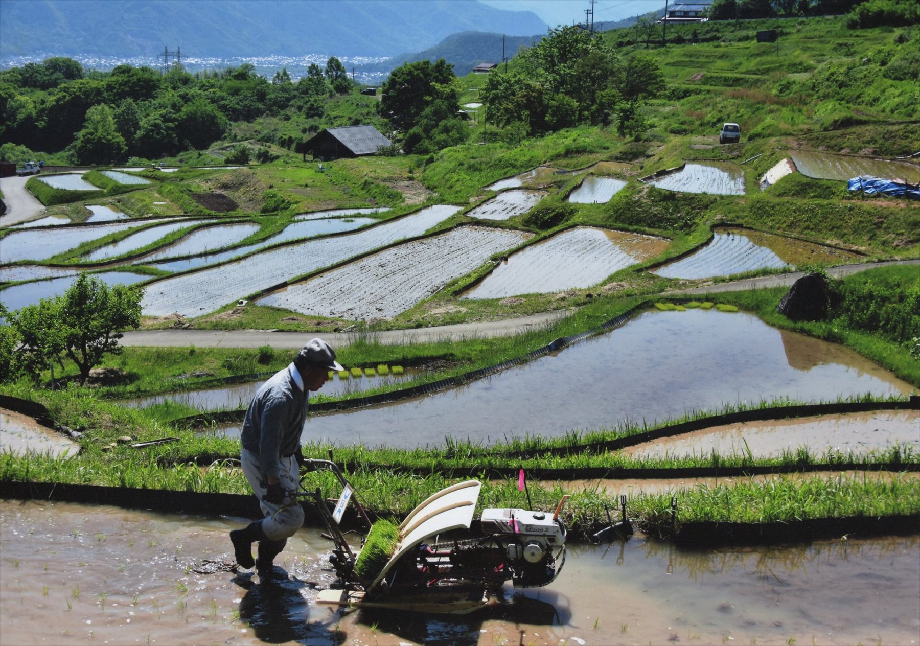 入賞写真