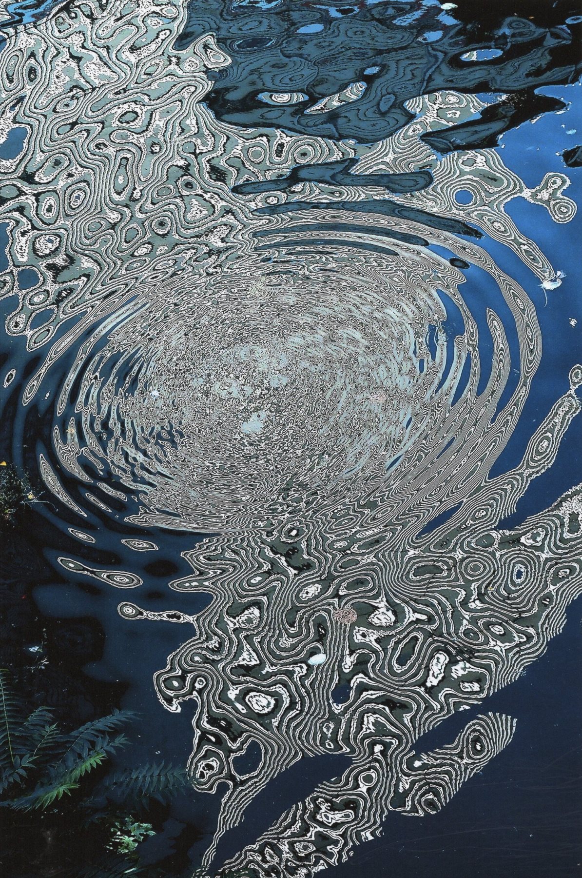 入賞写真