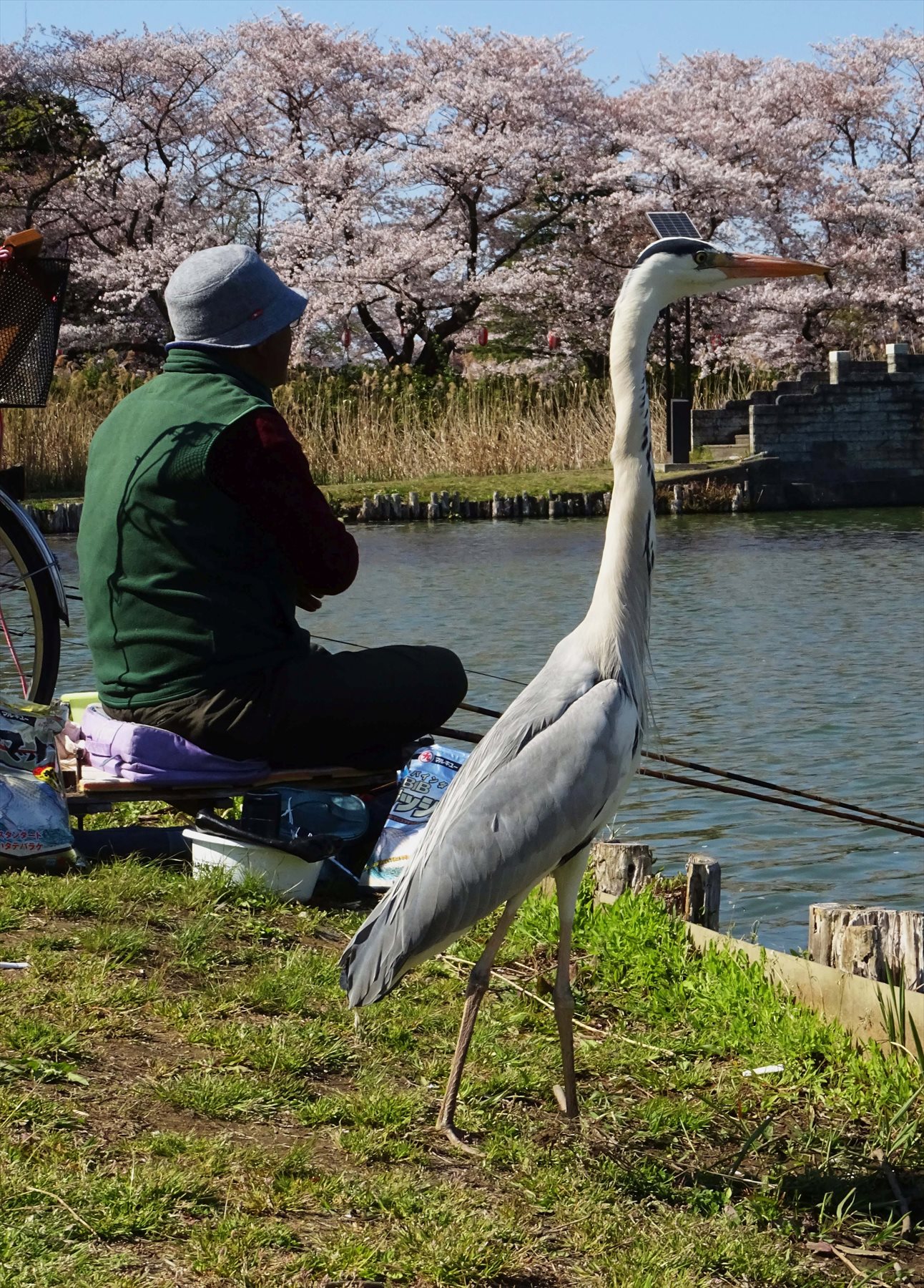 入賞写真