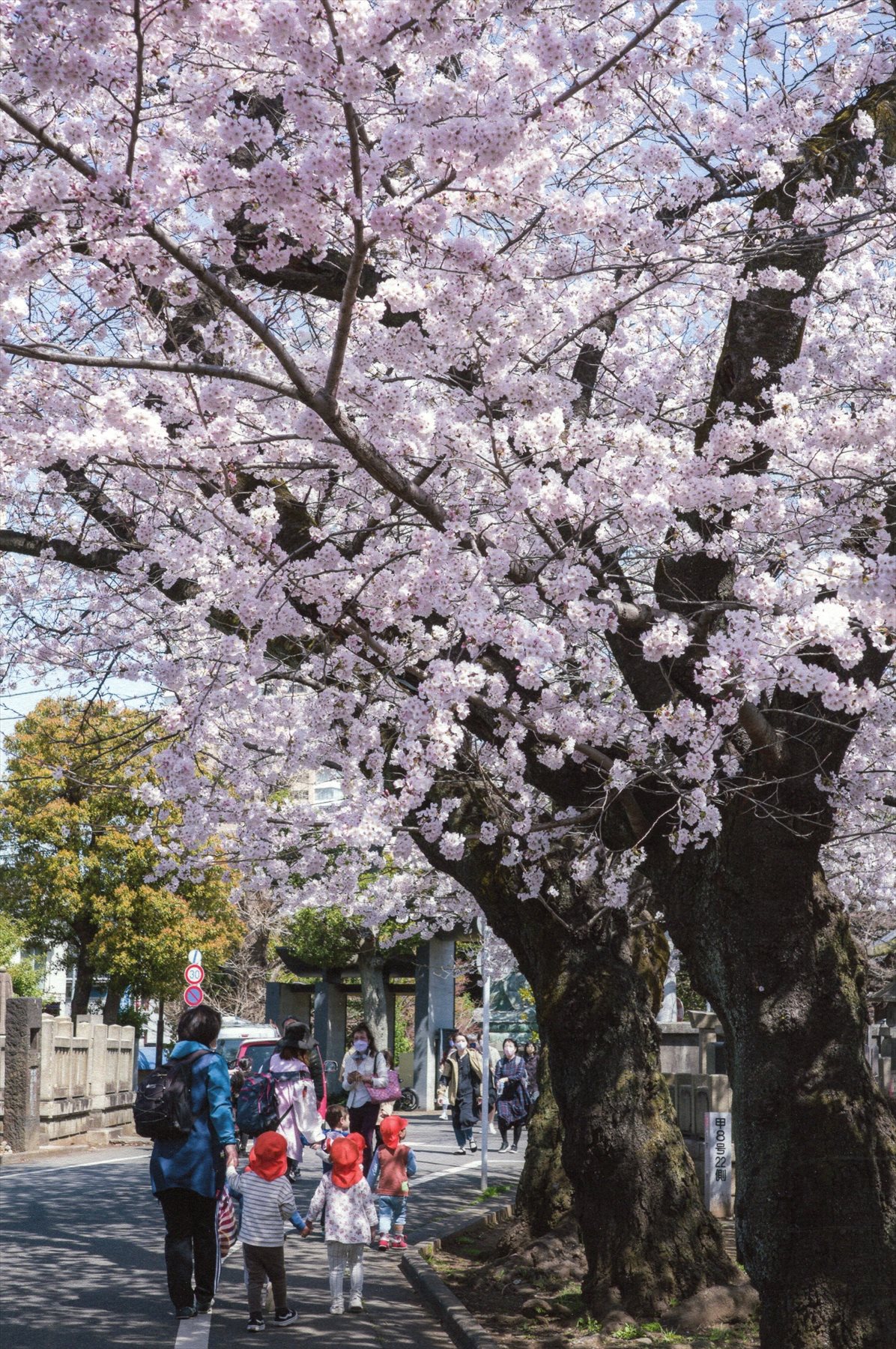 入賞写真