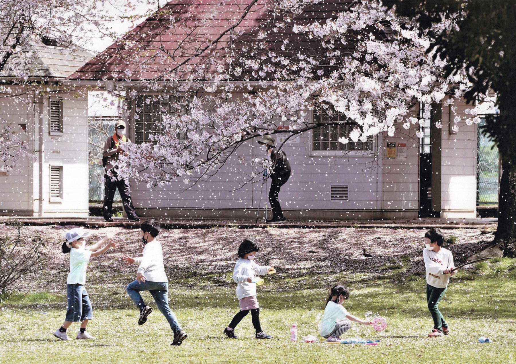 入賞写真