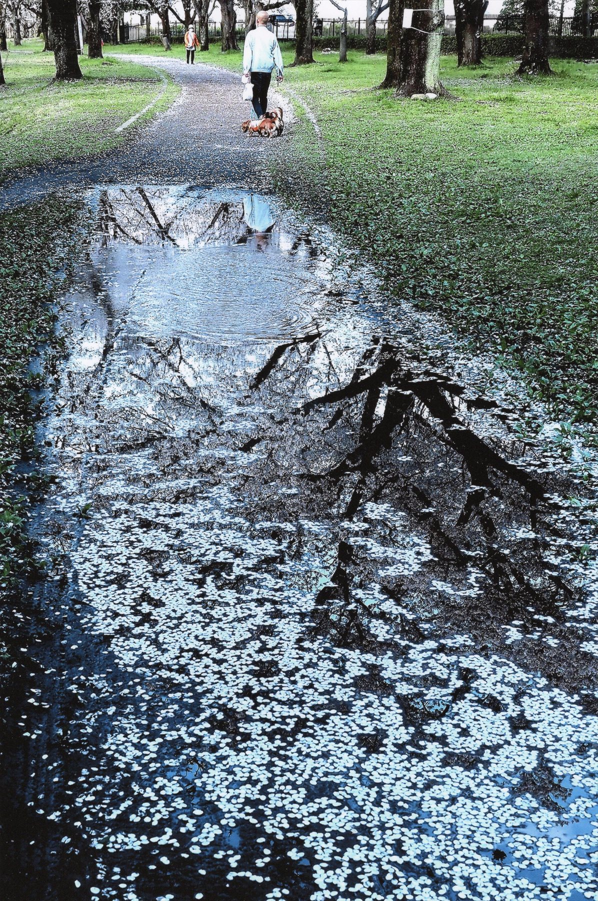 入賞写真