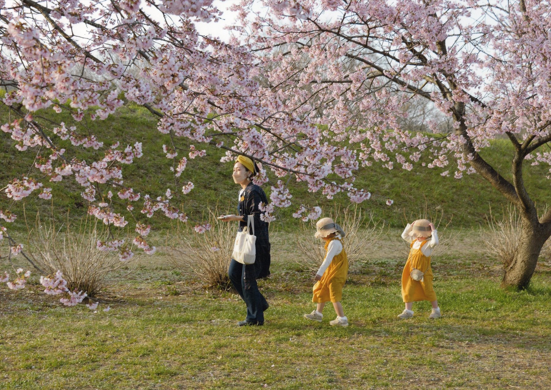 入賞写真