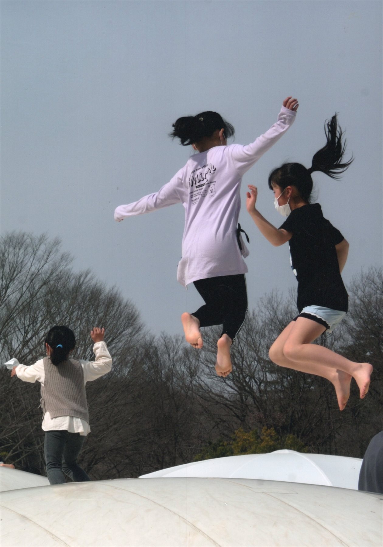 入賞写真