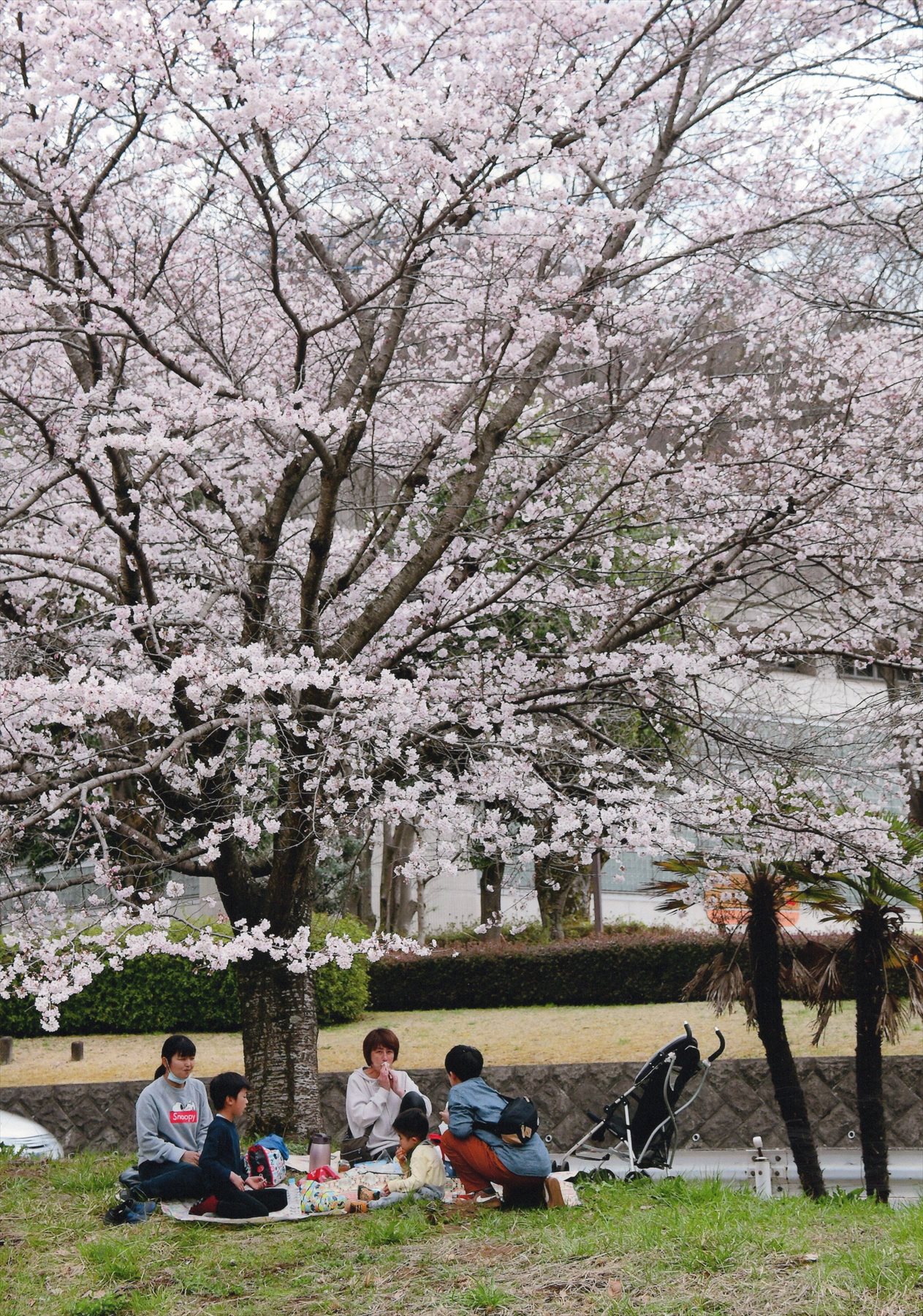 入賞写真