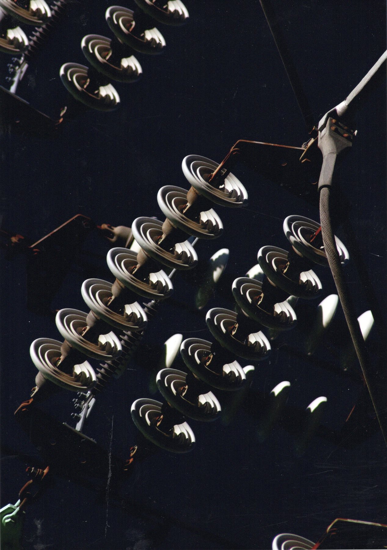 入賞写真