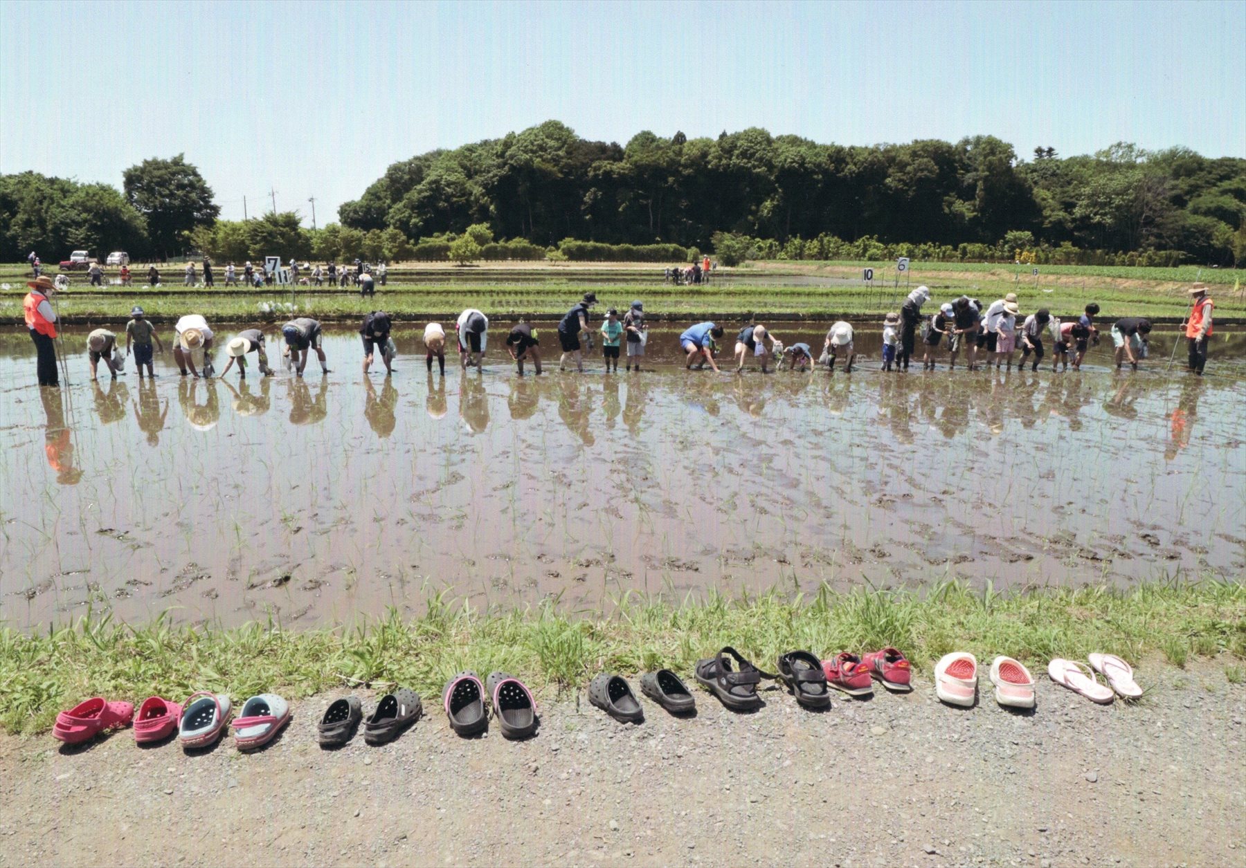入賞写真