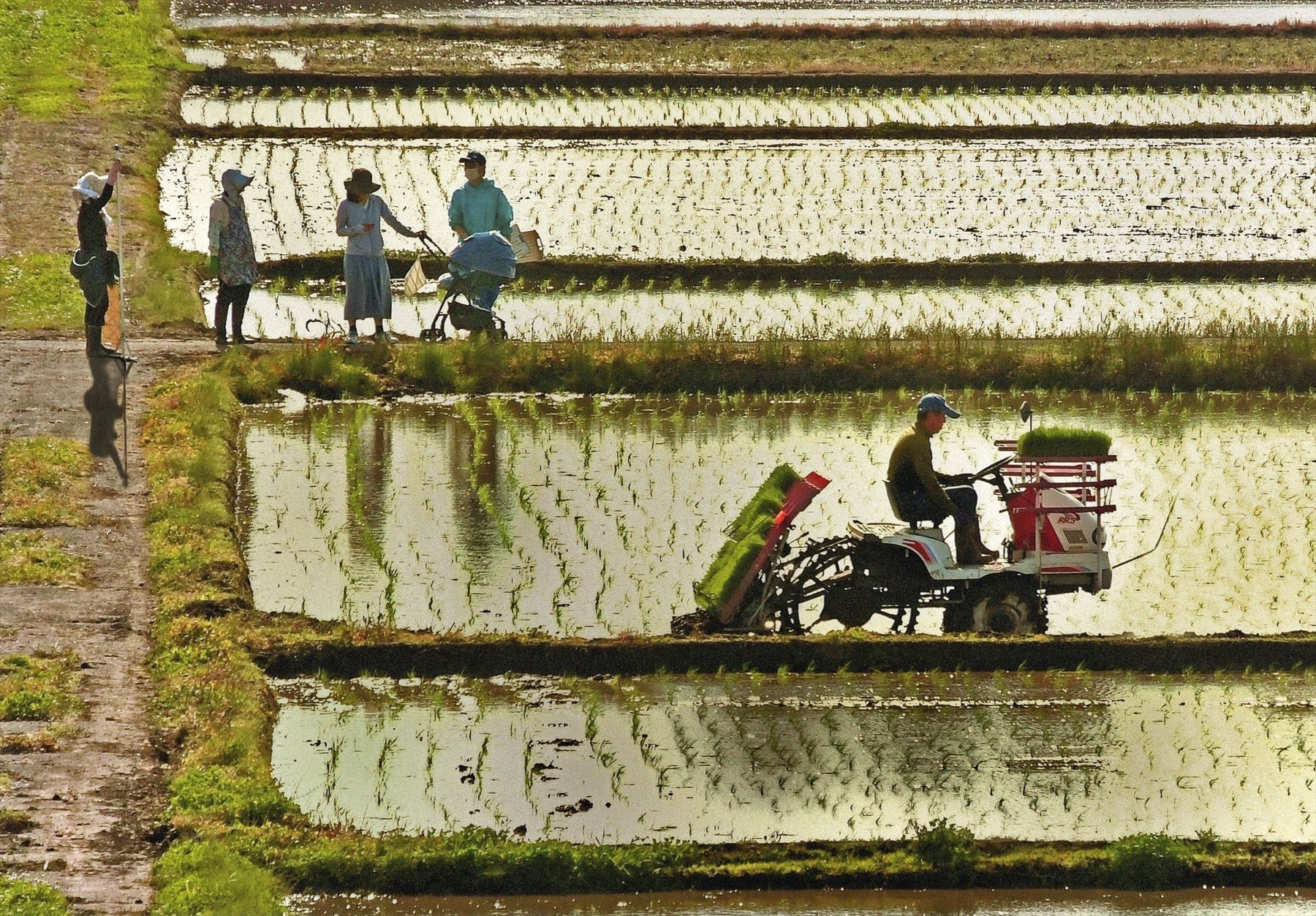 入賞写真