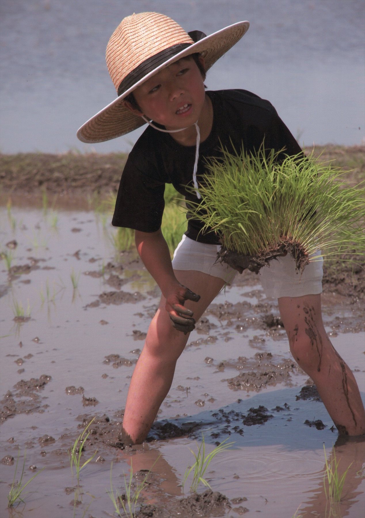 入賞写真