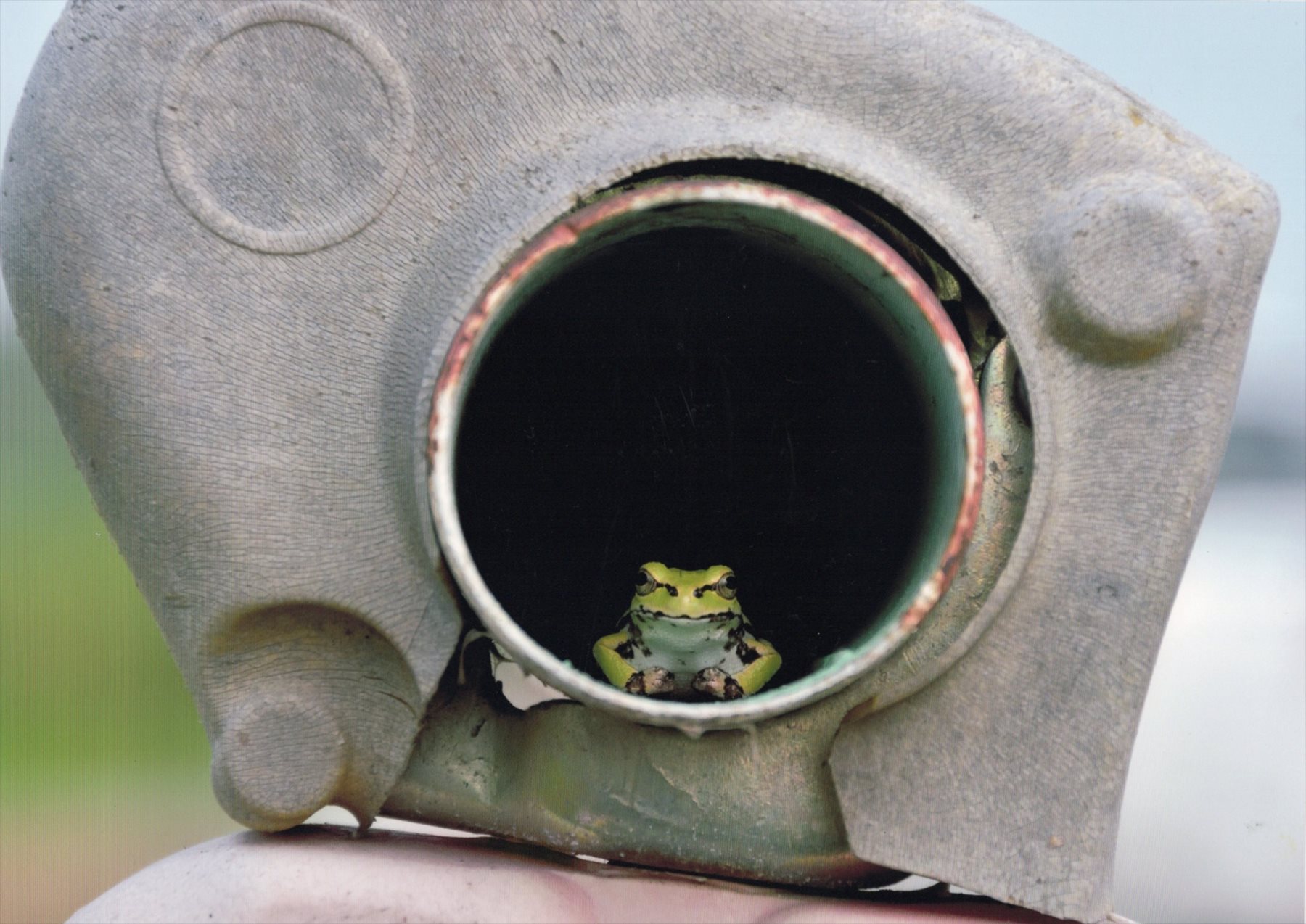 入賞写真
