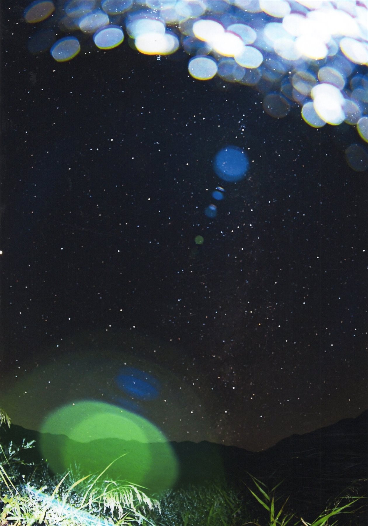 入賞写真