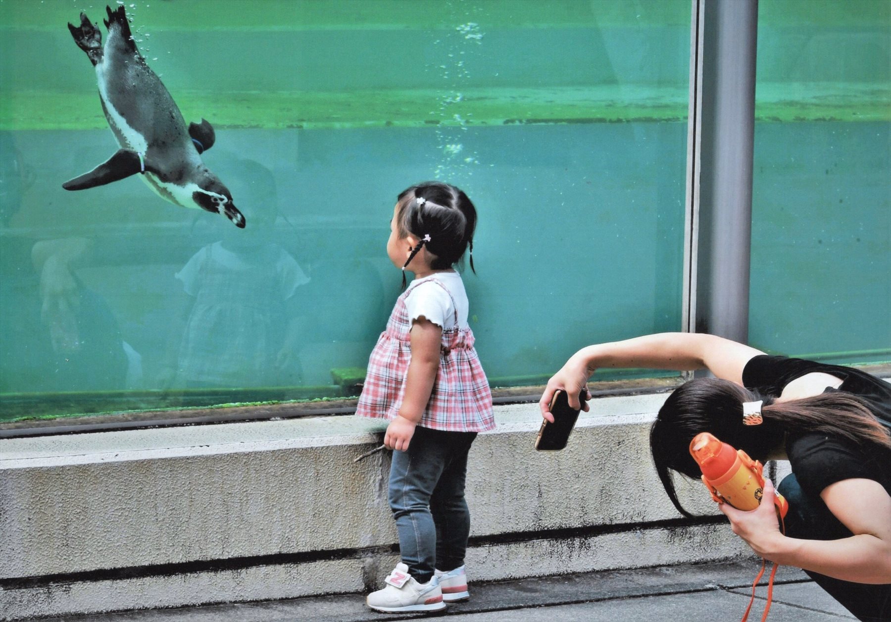 入賞写真