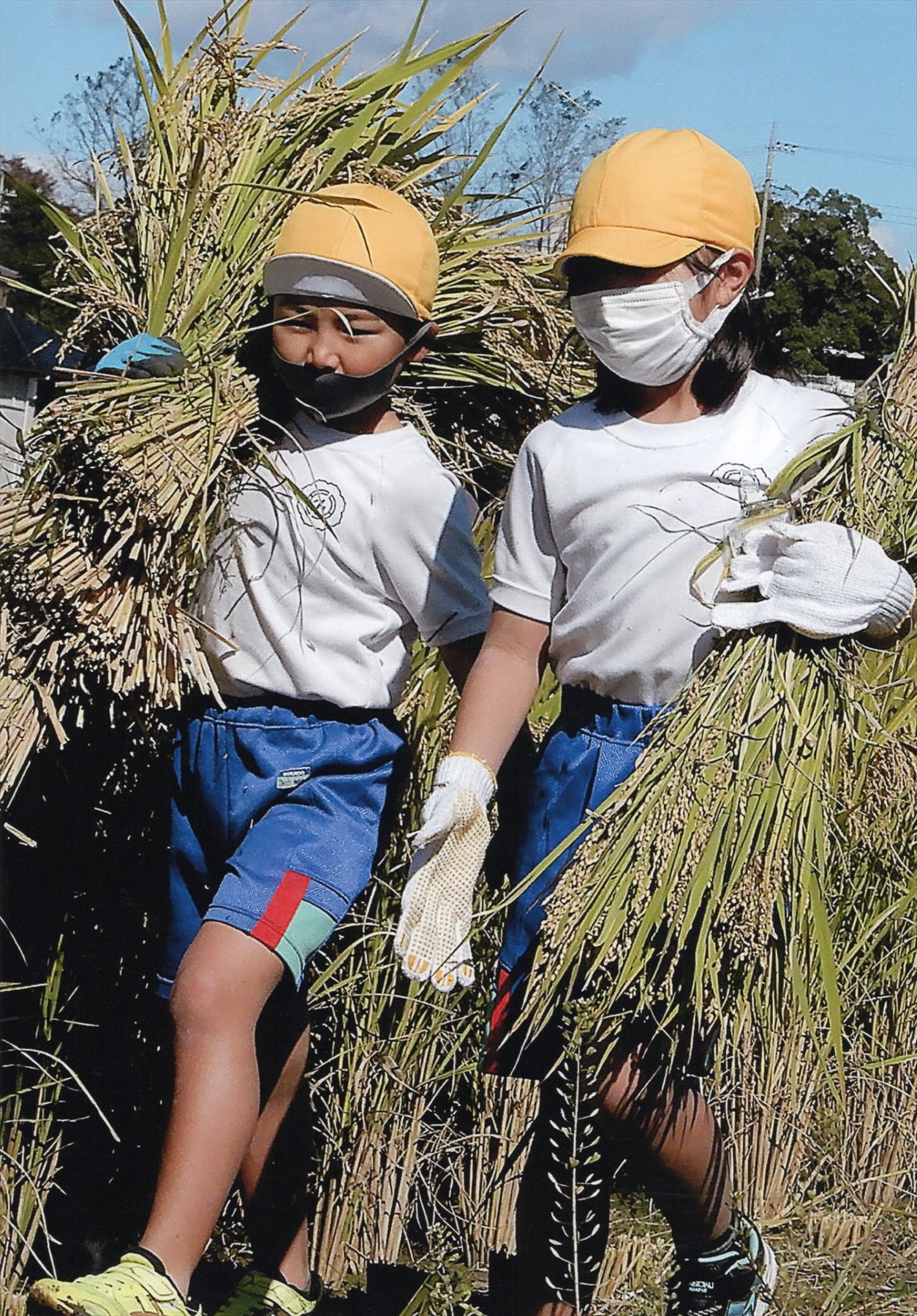 入賞写真