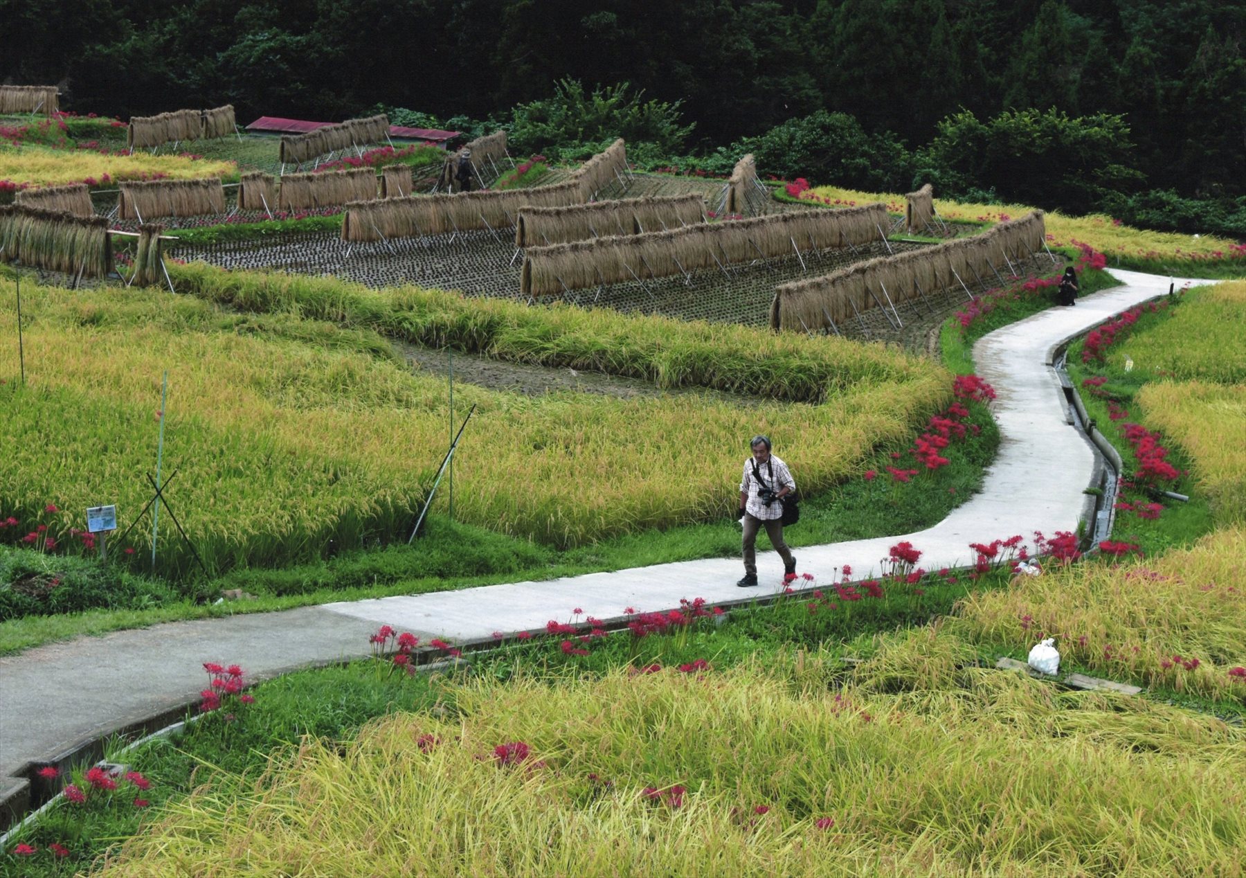 入賞写真