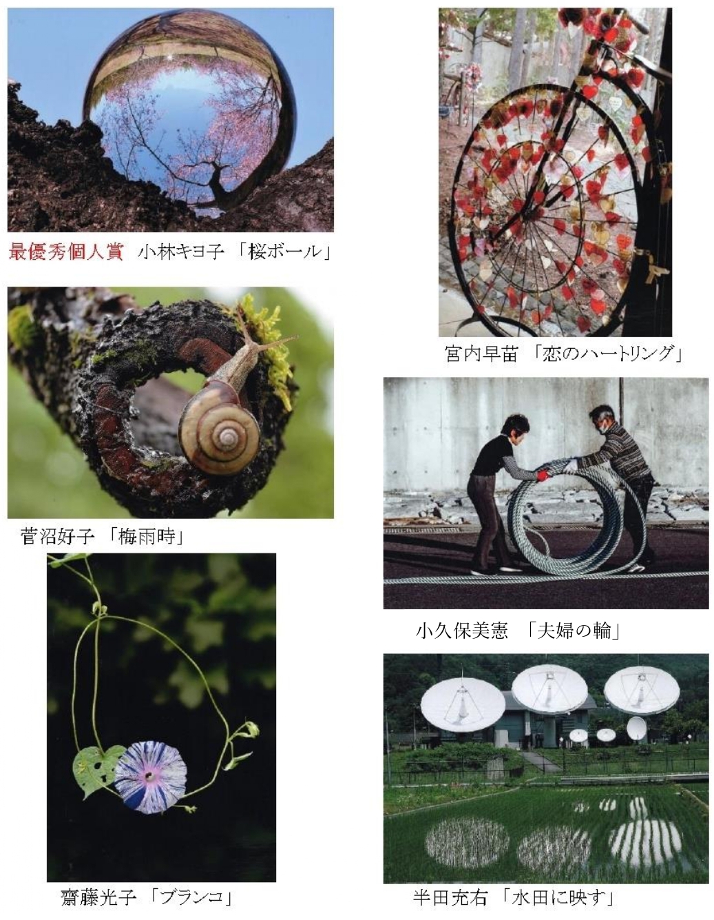 入賞写真