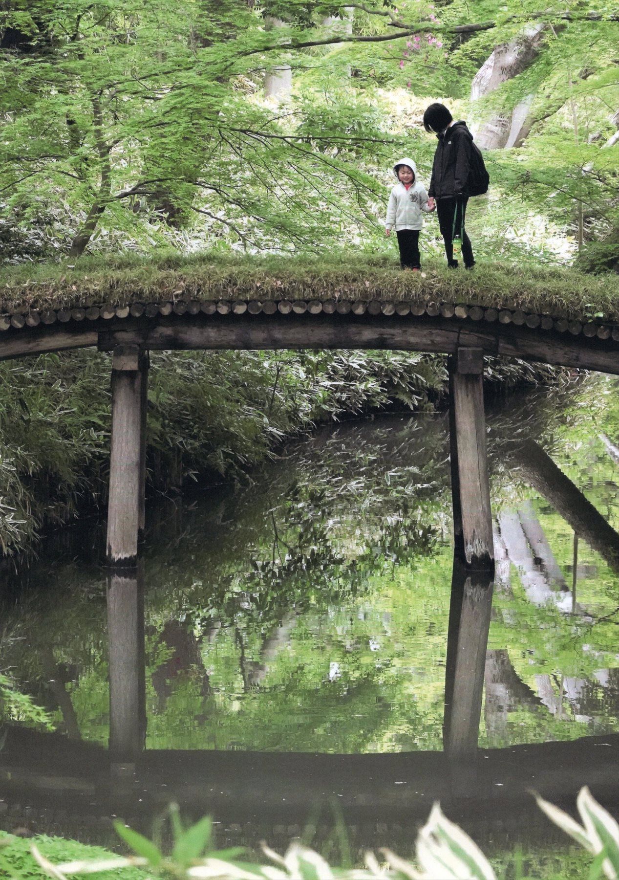 入賞写真