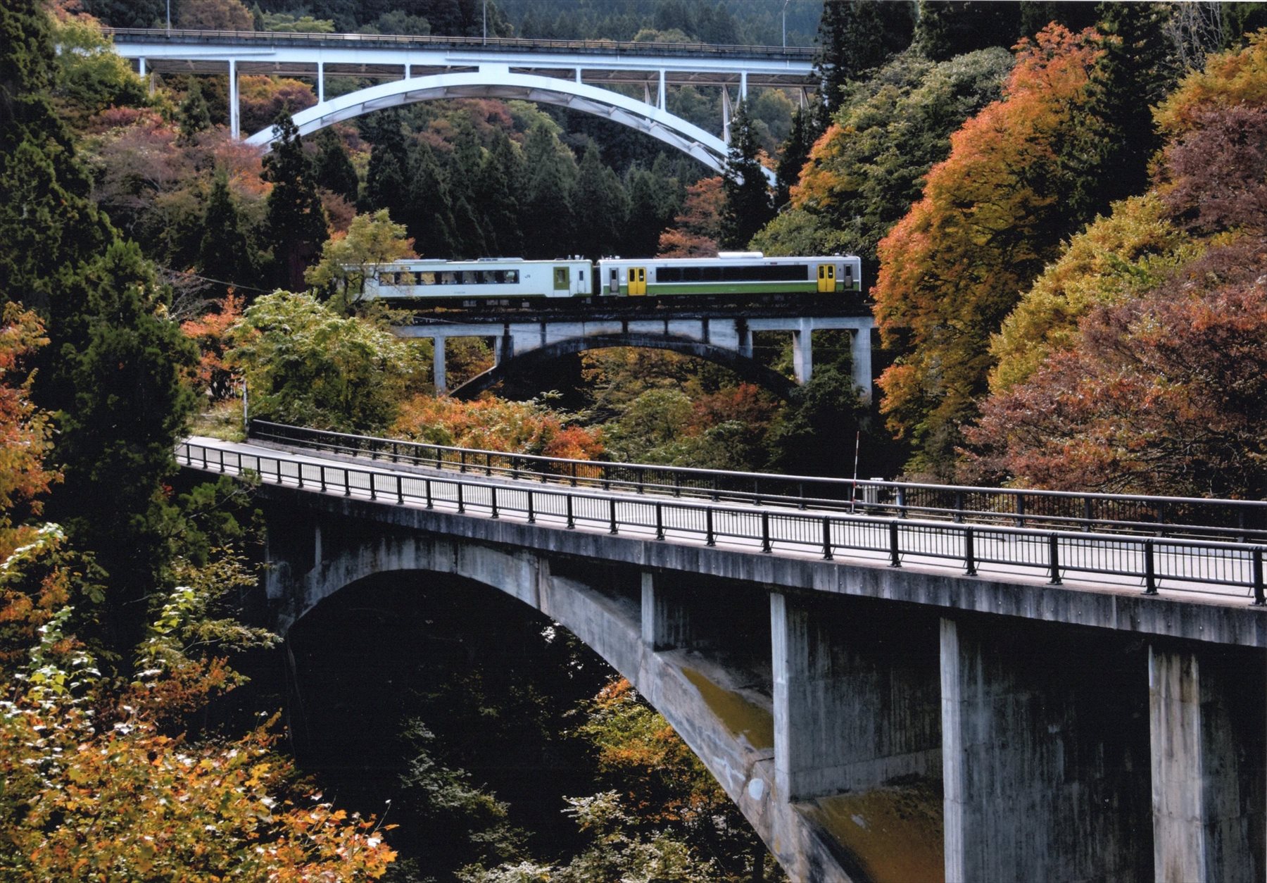 入賞写真