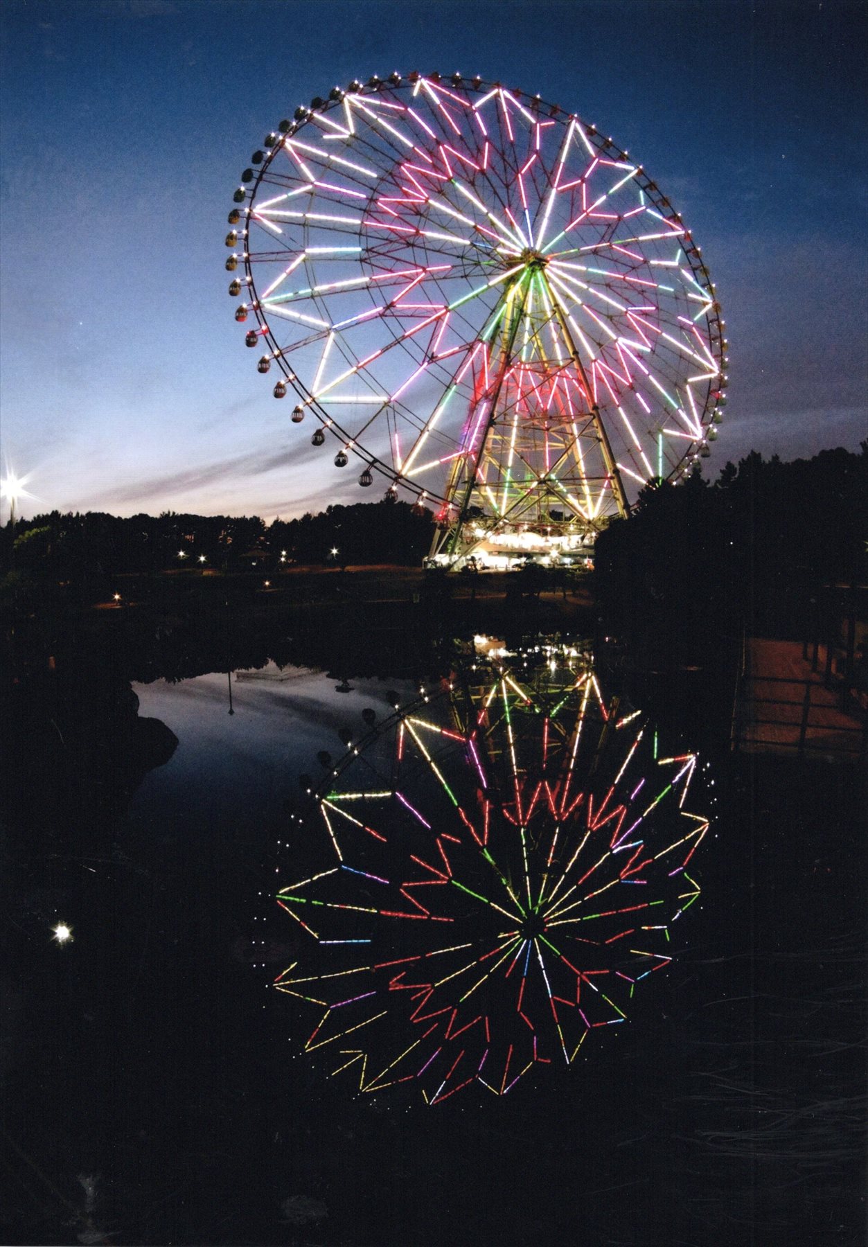 入賞写真