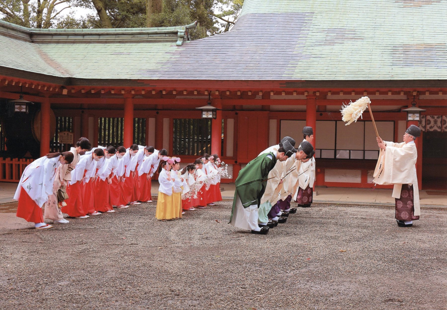 入賞写真
