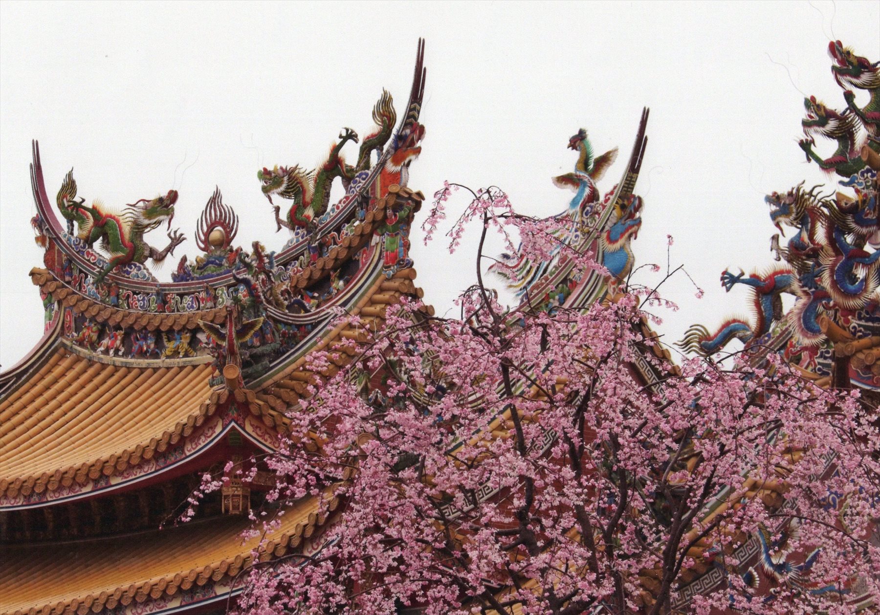 入賞写真