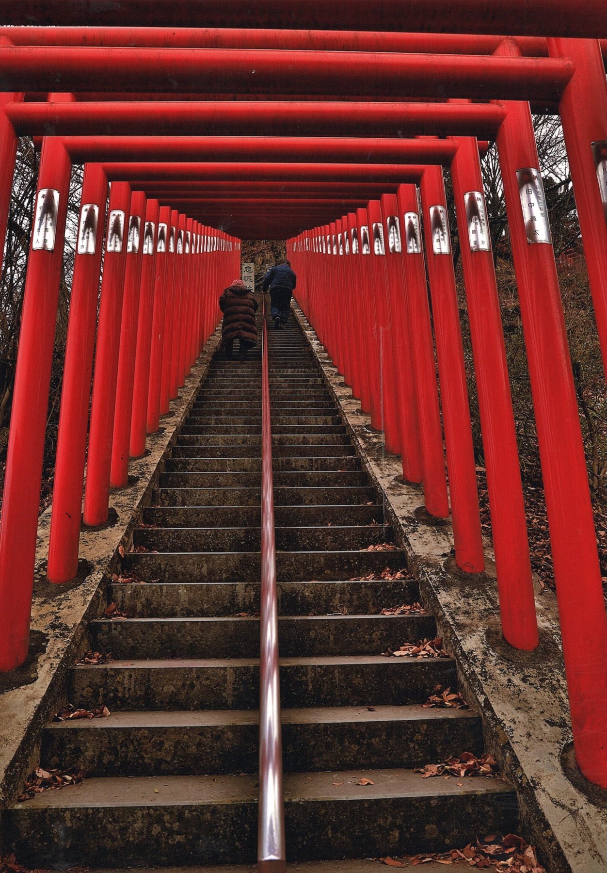 入賞写真