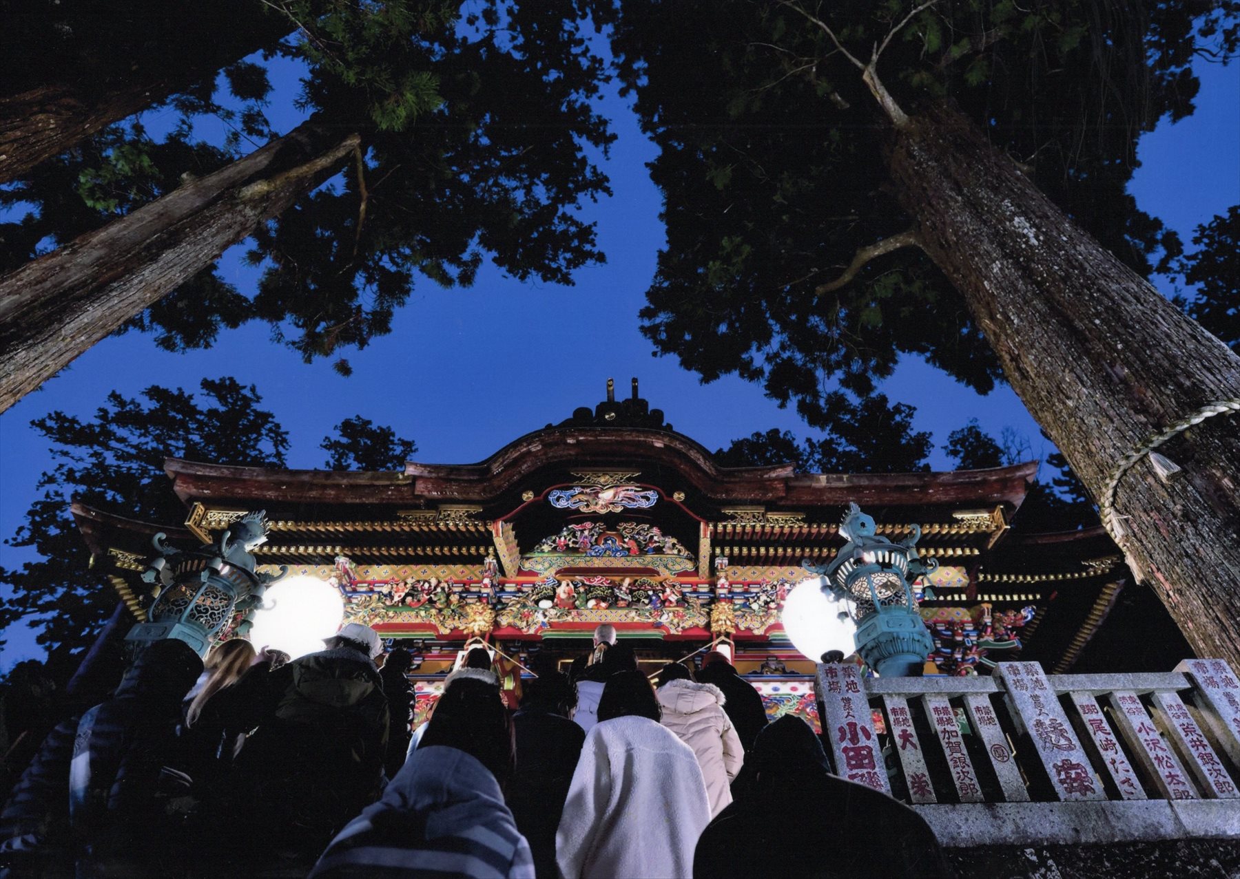 入賞写真