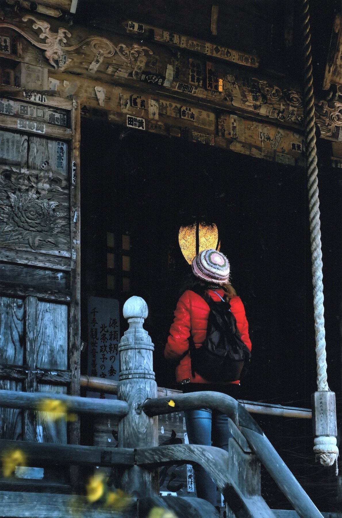入賞写真