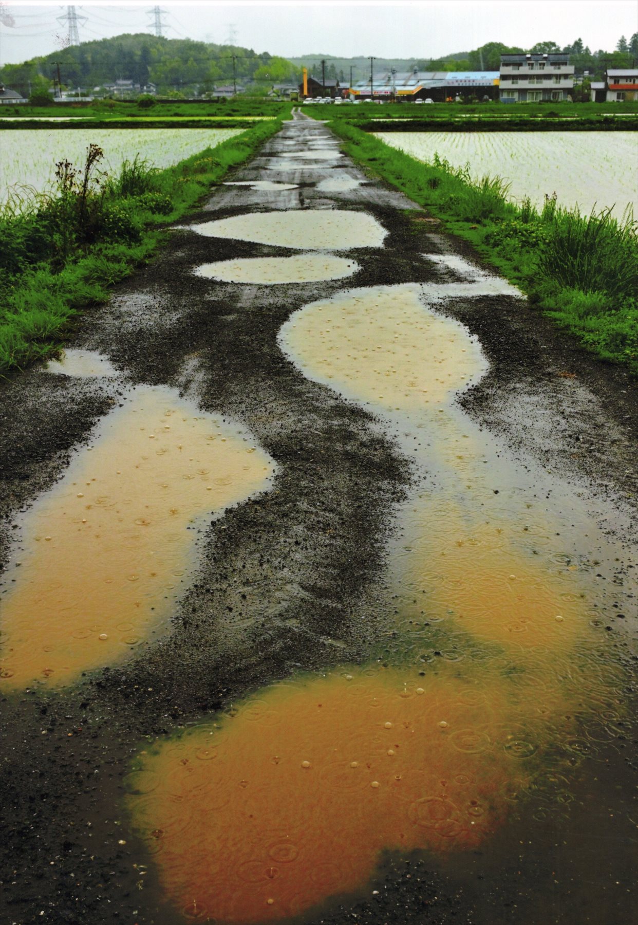 入賞写真