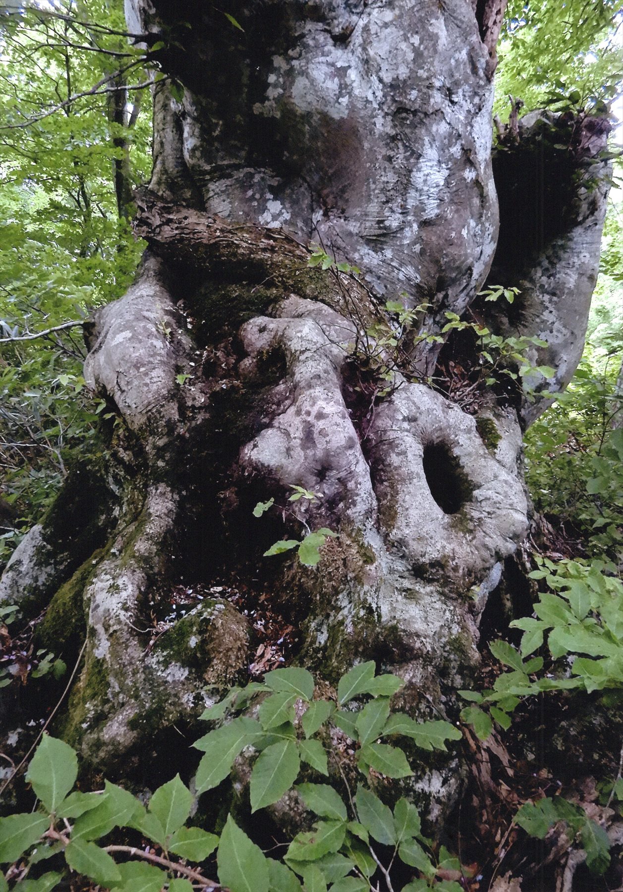 入賞写真