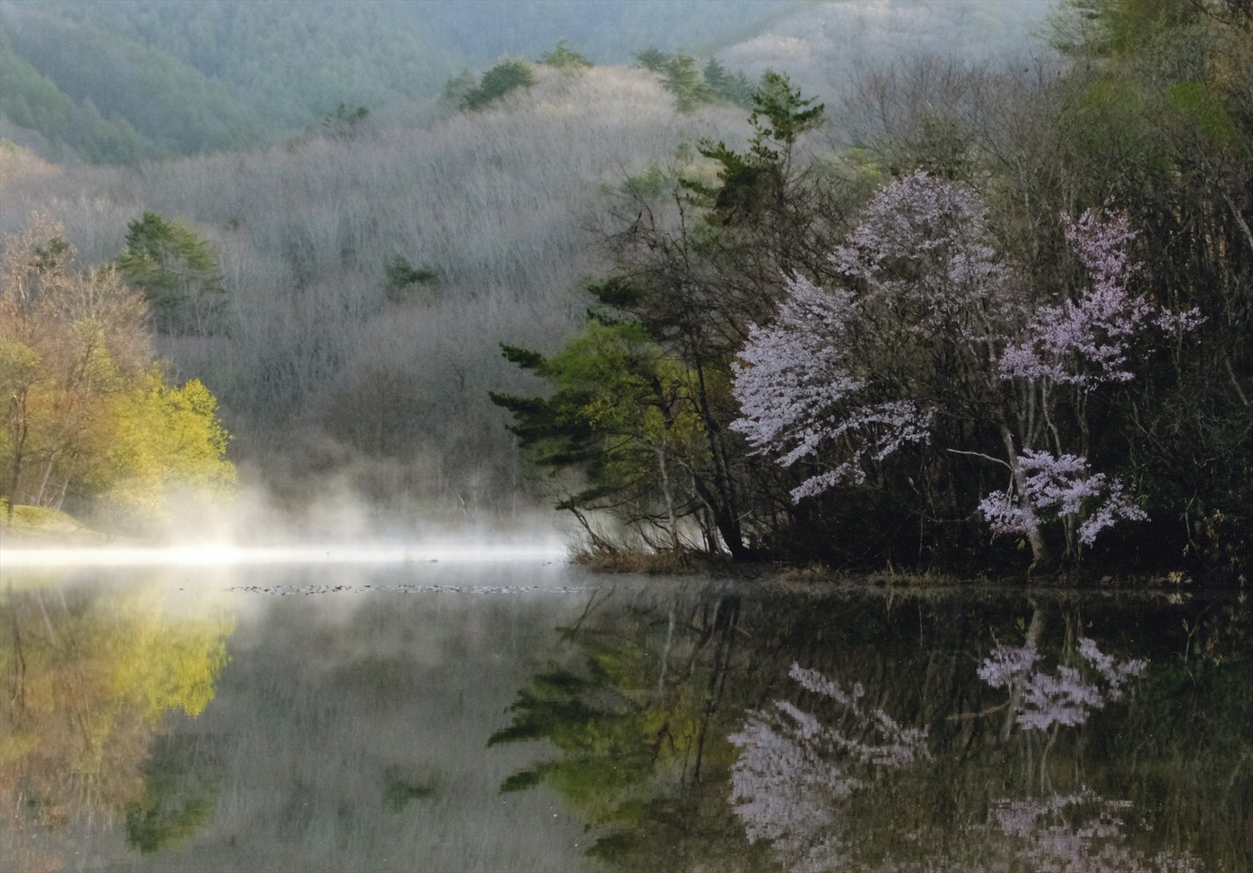 入賞写真