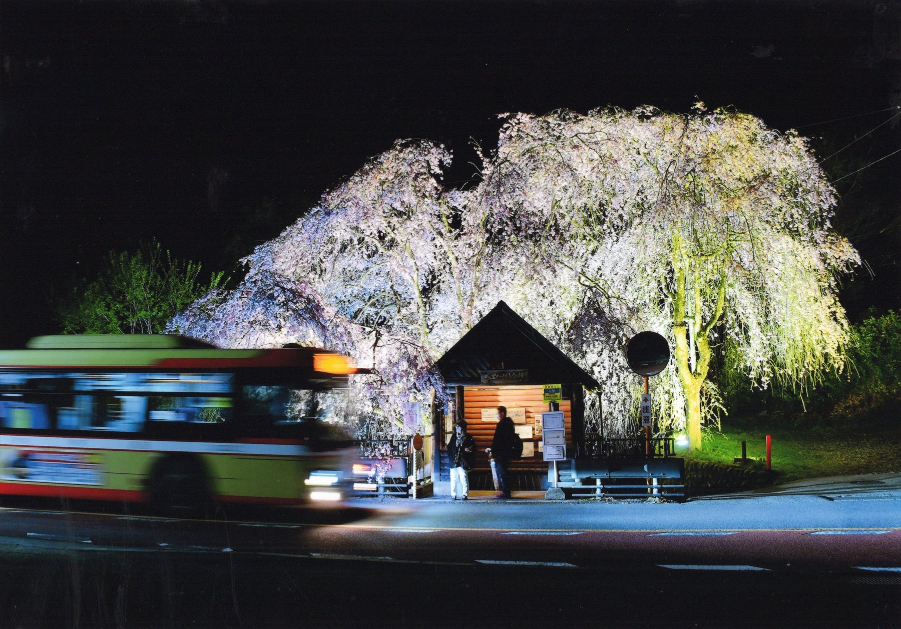 入賞写真