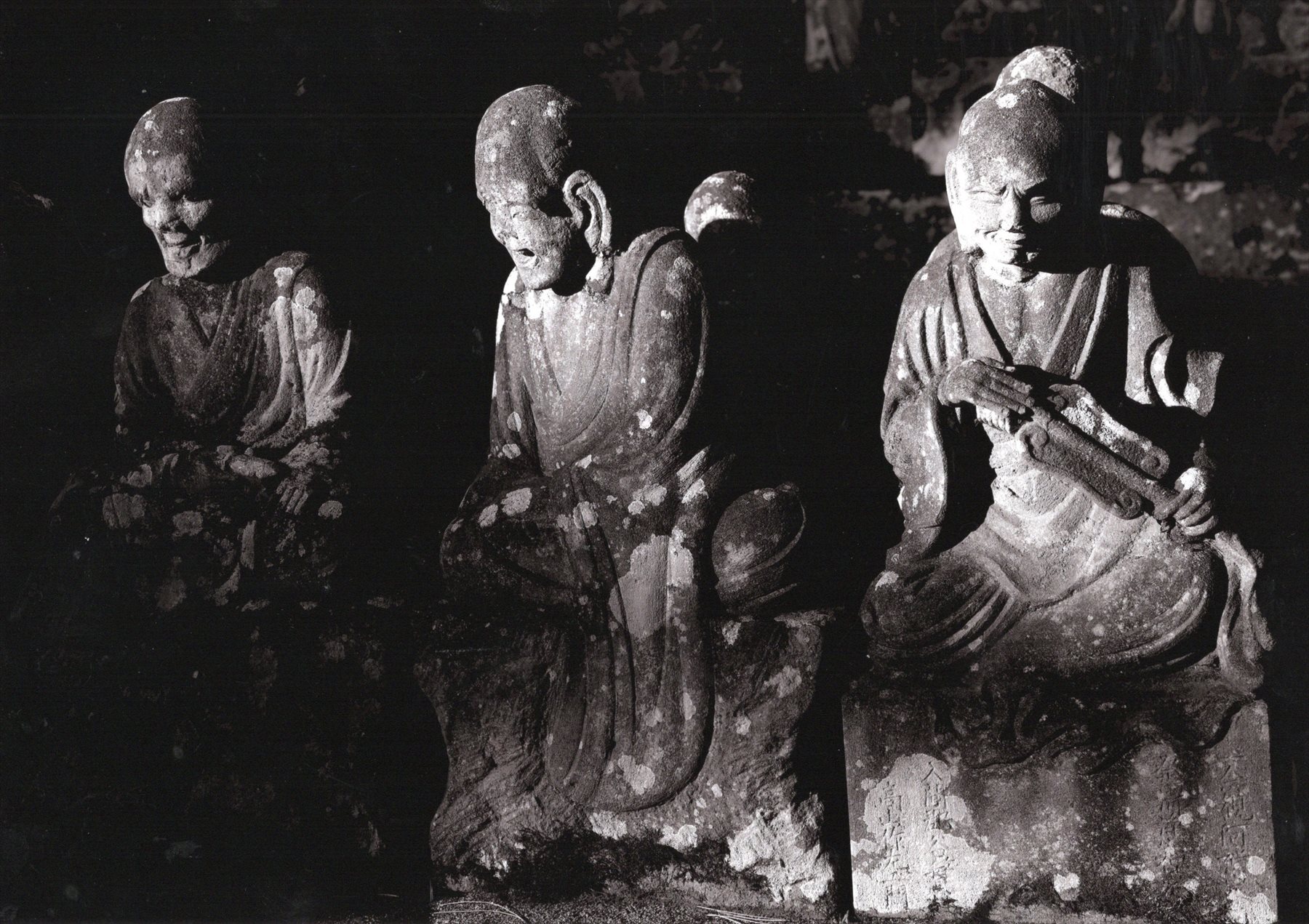 入賞写真