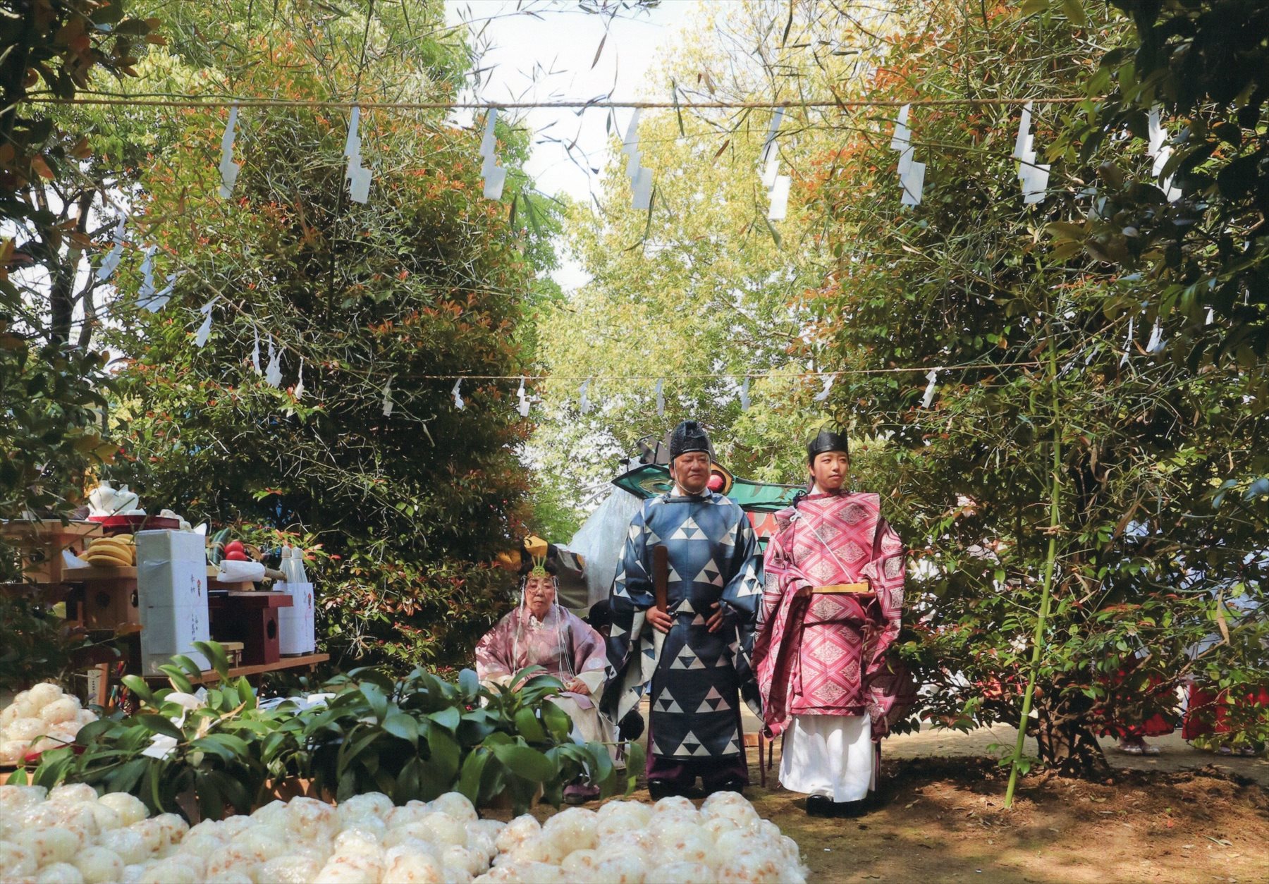 入賞写真