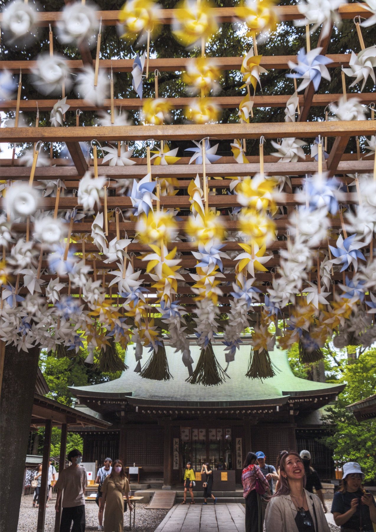 入賞写真