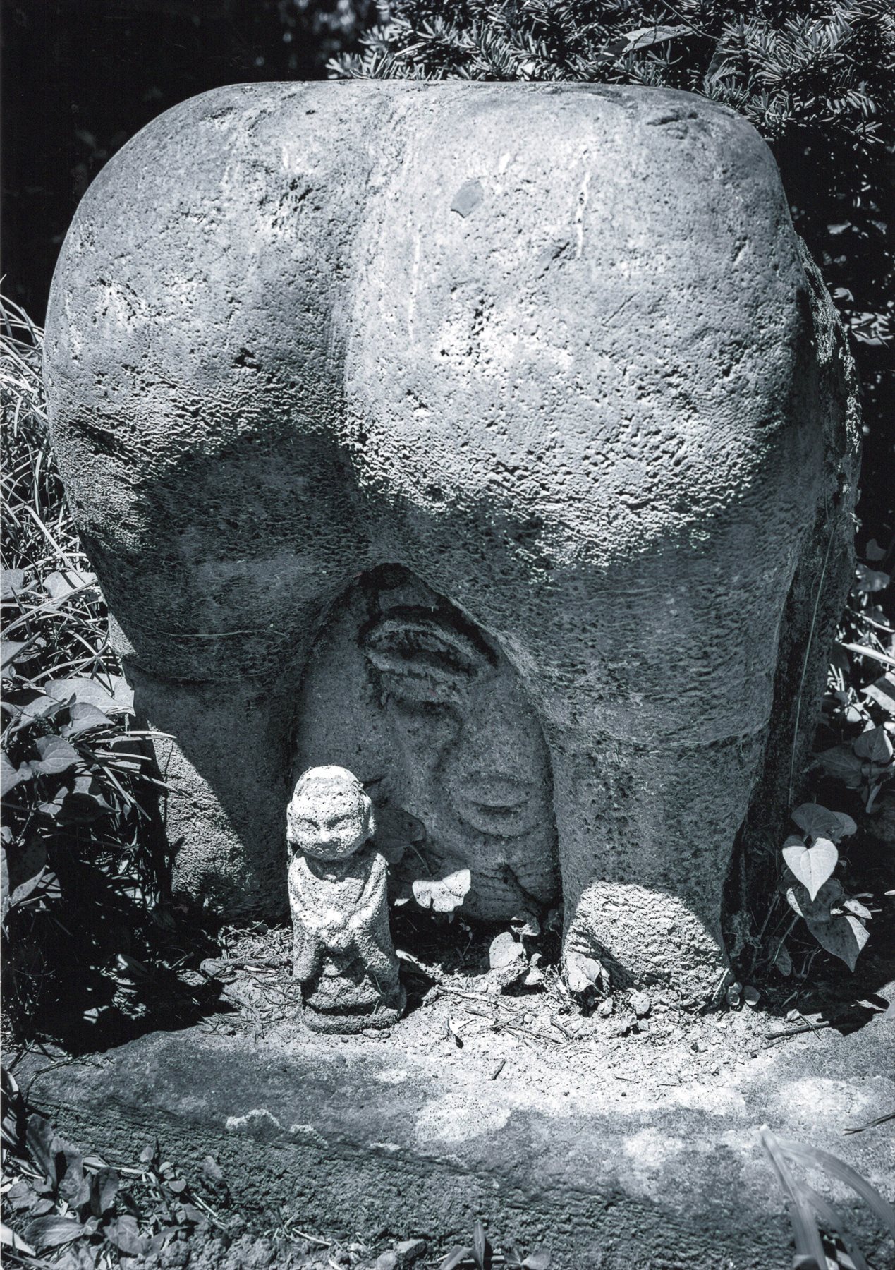 入賞写真