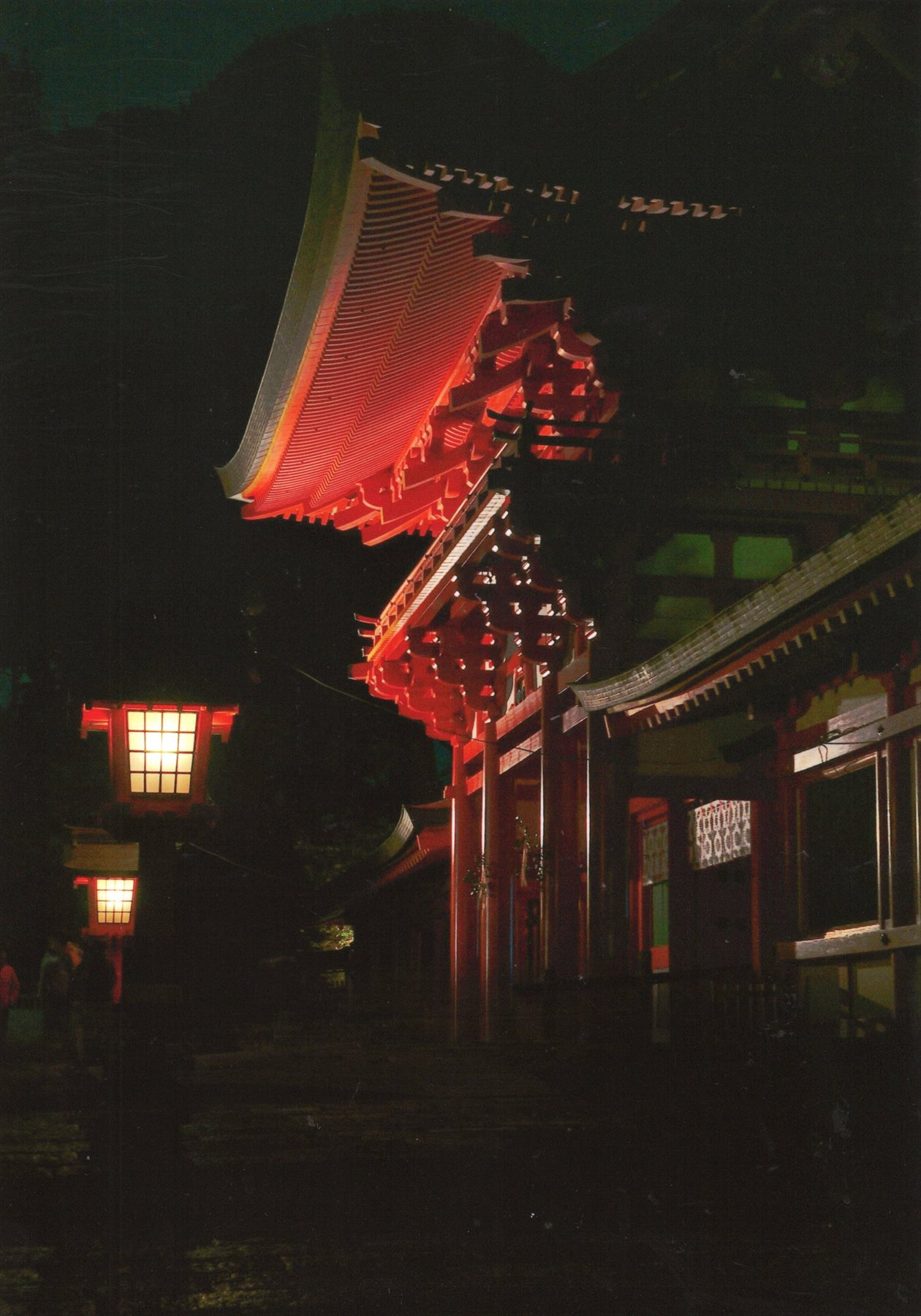 入賞写真