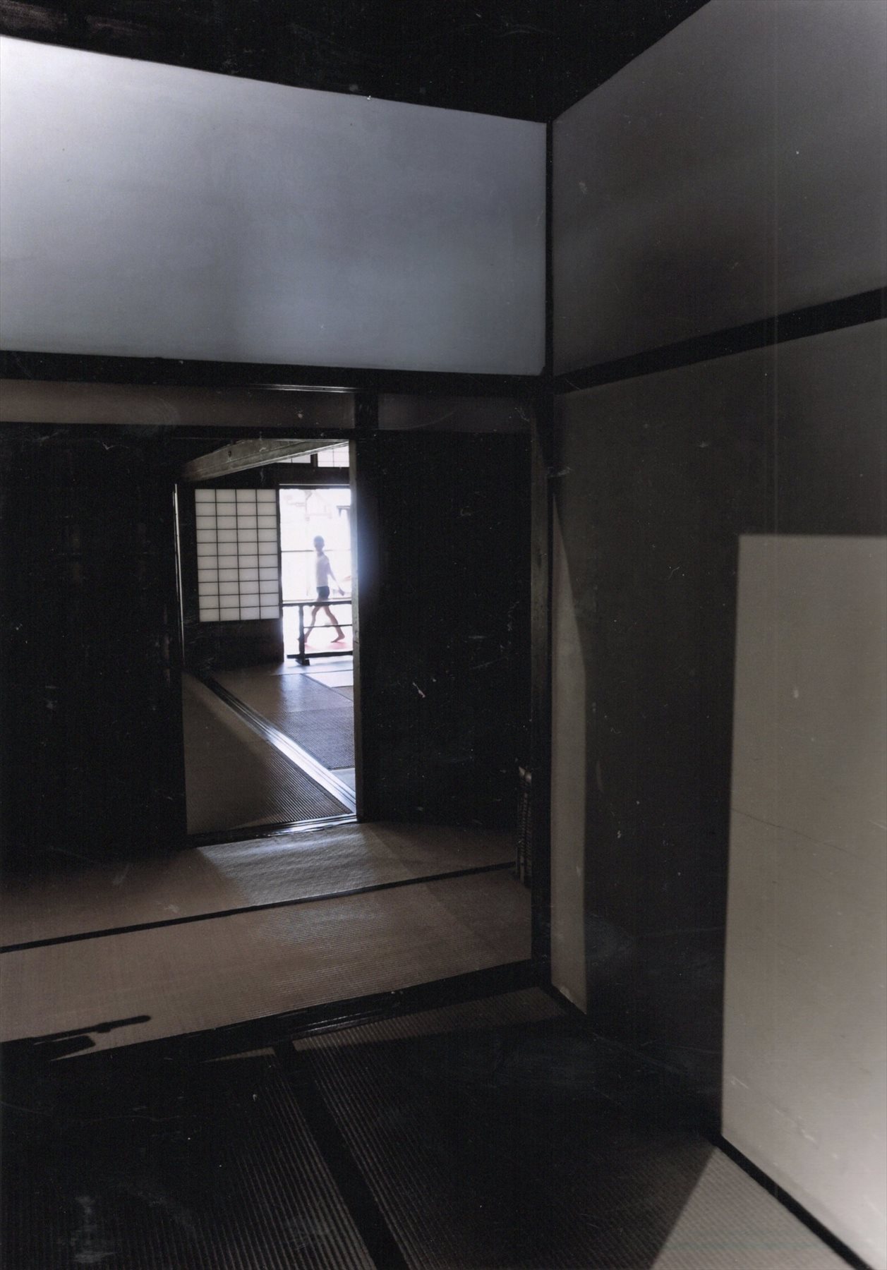 入賞写真