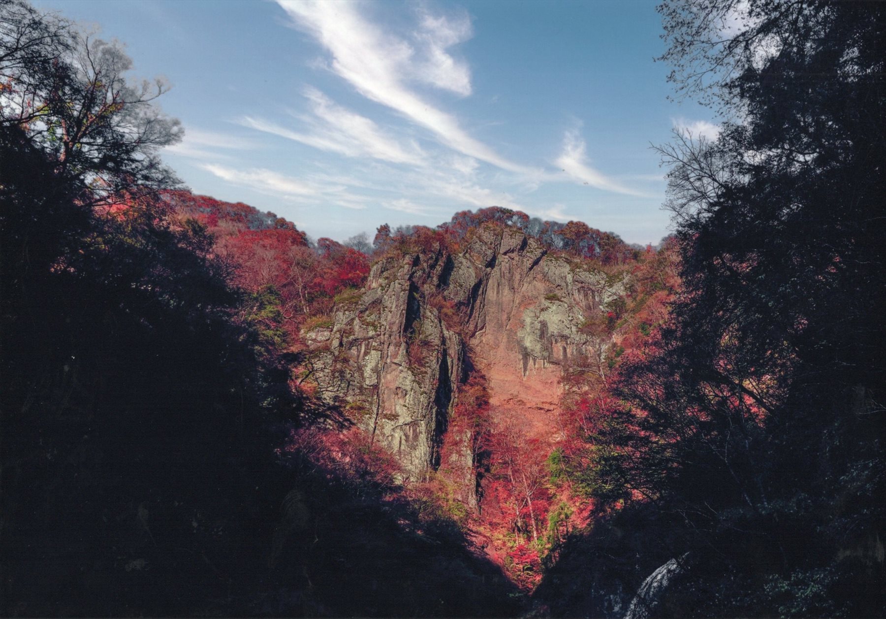 入賞写真