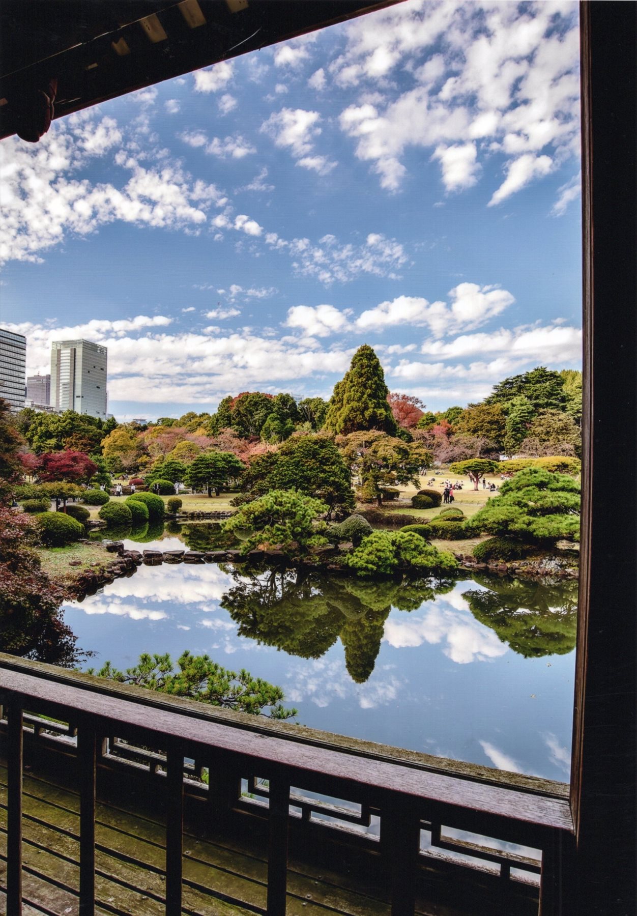 入賞写真